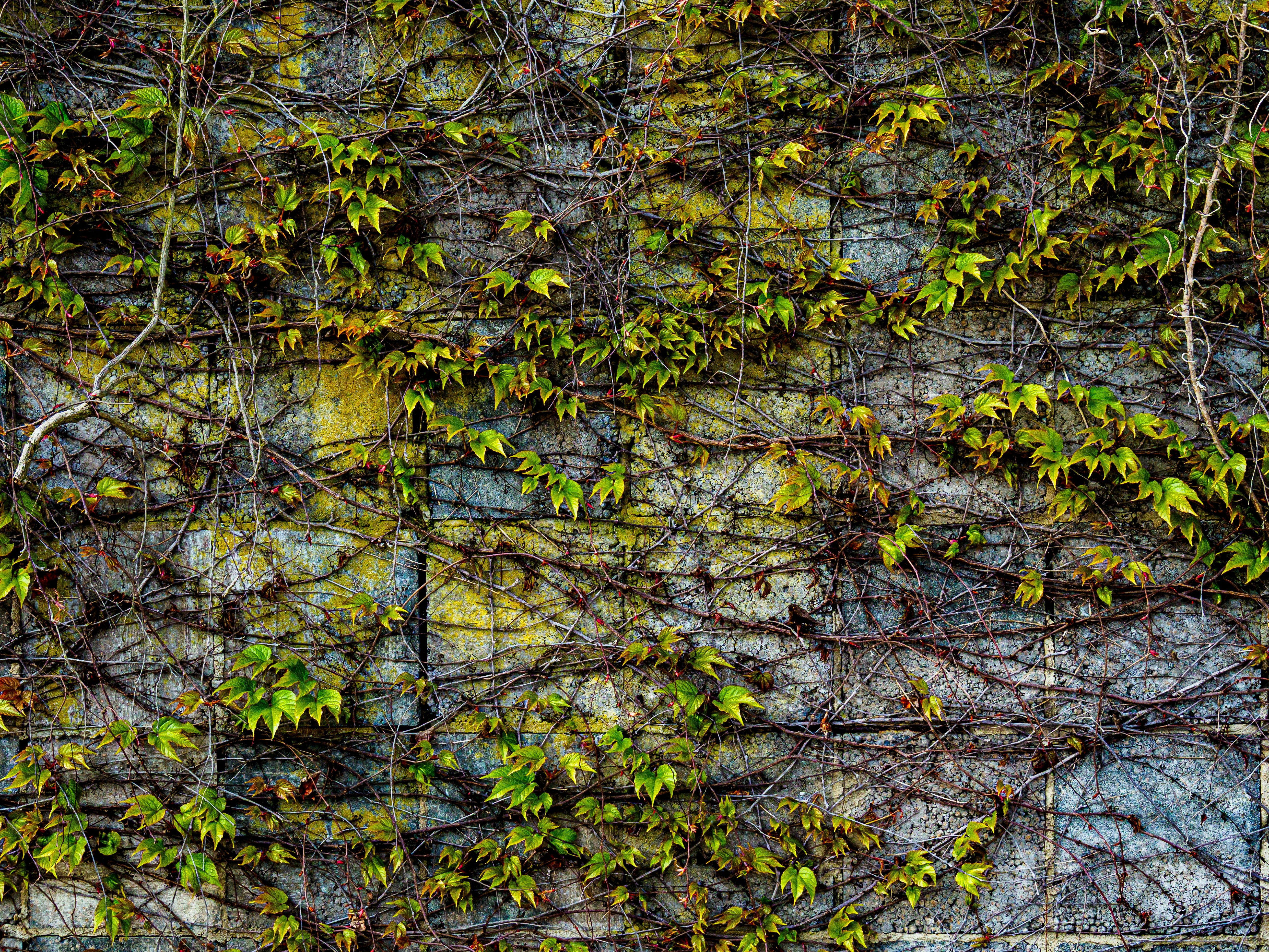 Photo by skstrannik