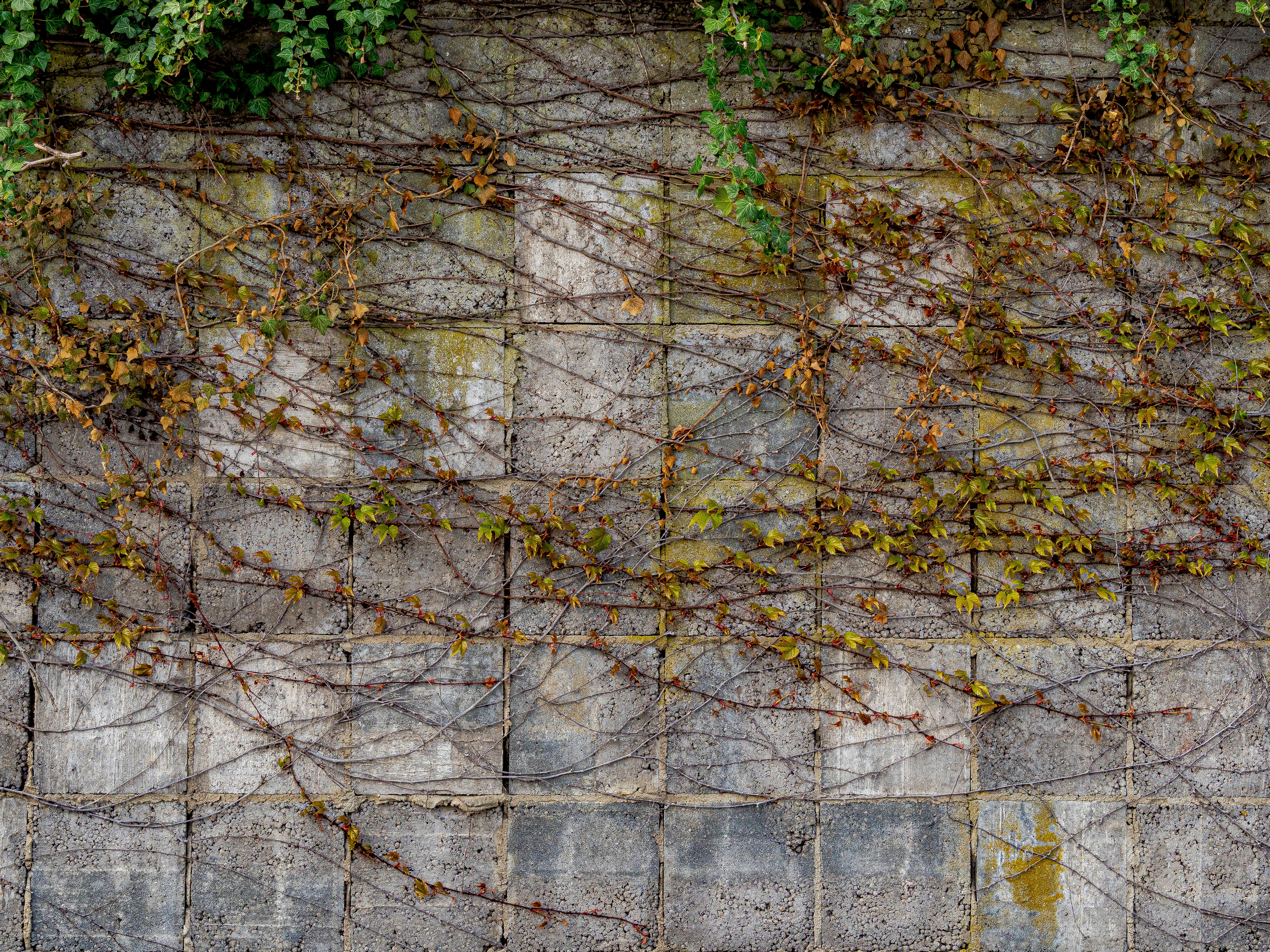 Photo by skstrannik
