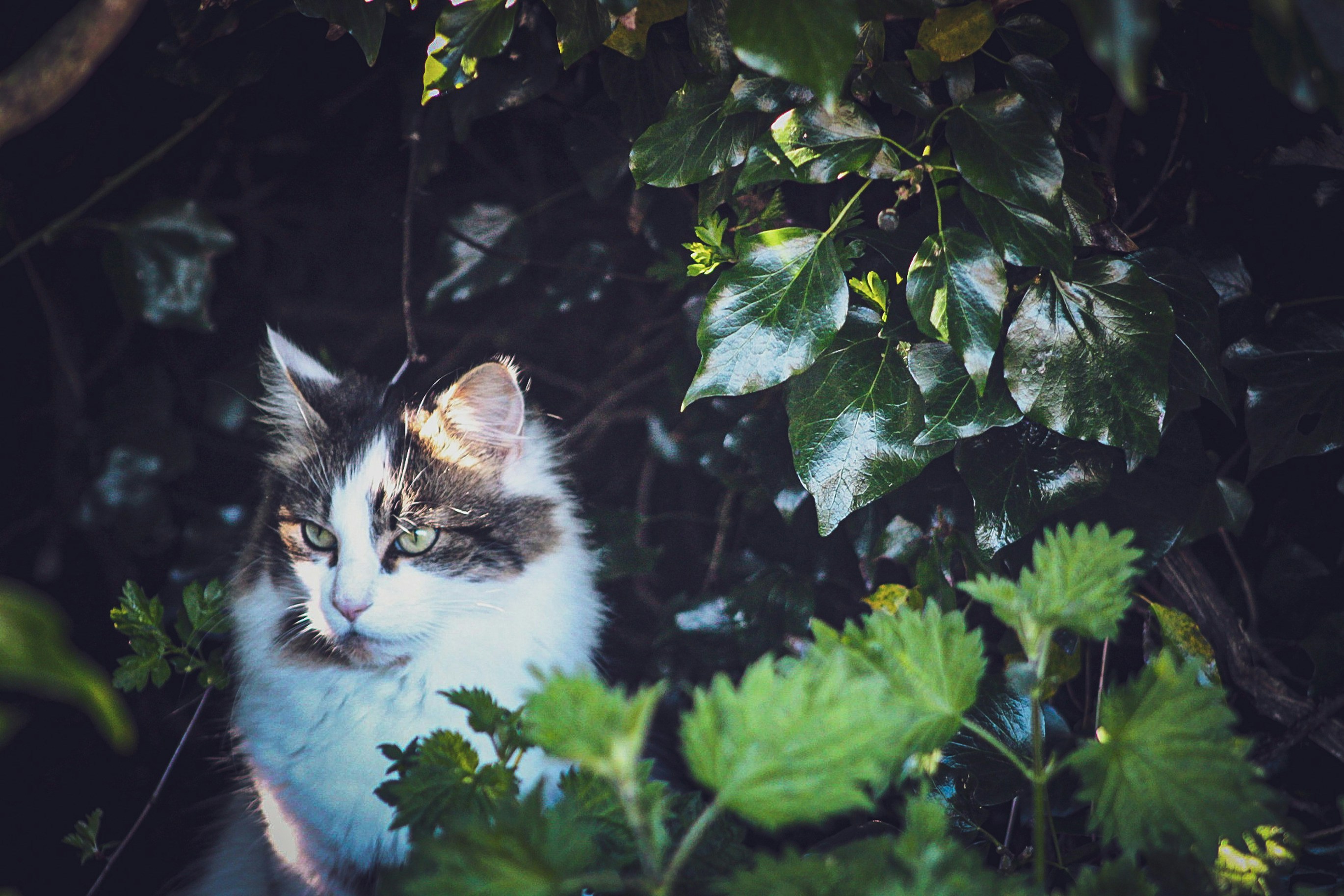 Photo by cara_2411
