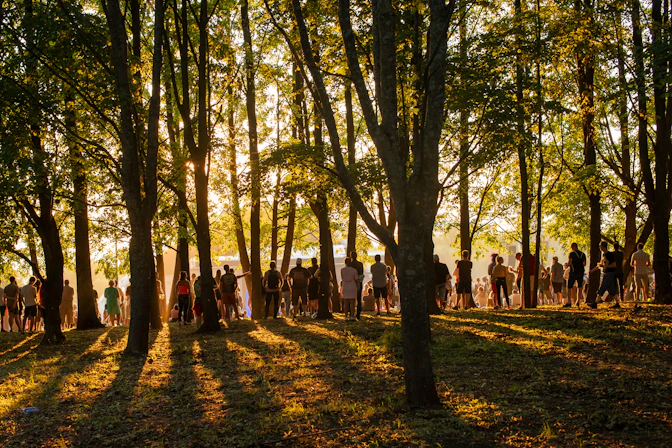 Silhouetted figures gather in a sun-dappled forest clearing.