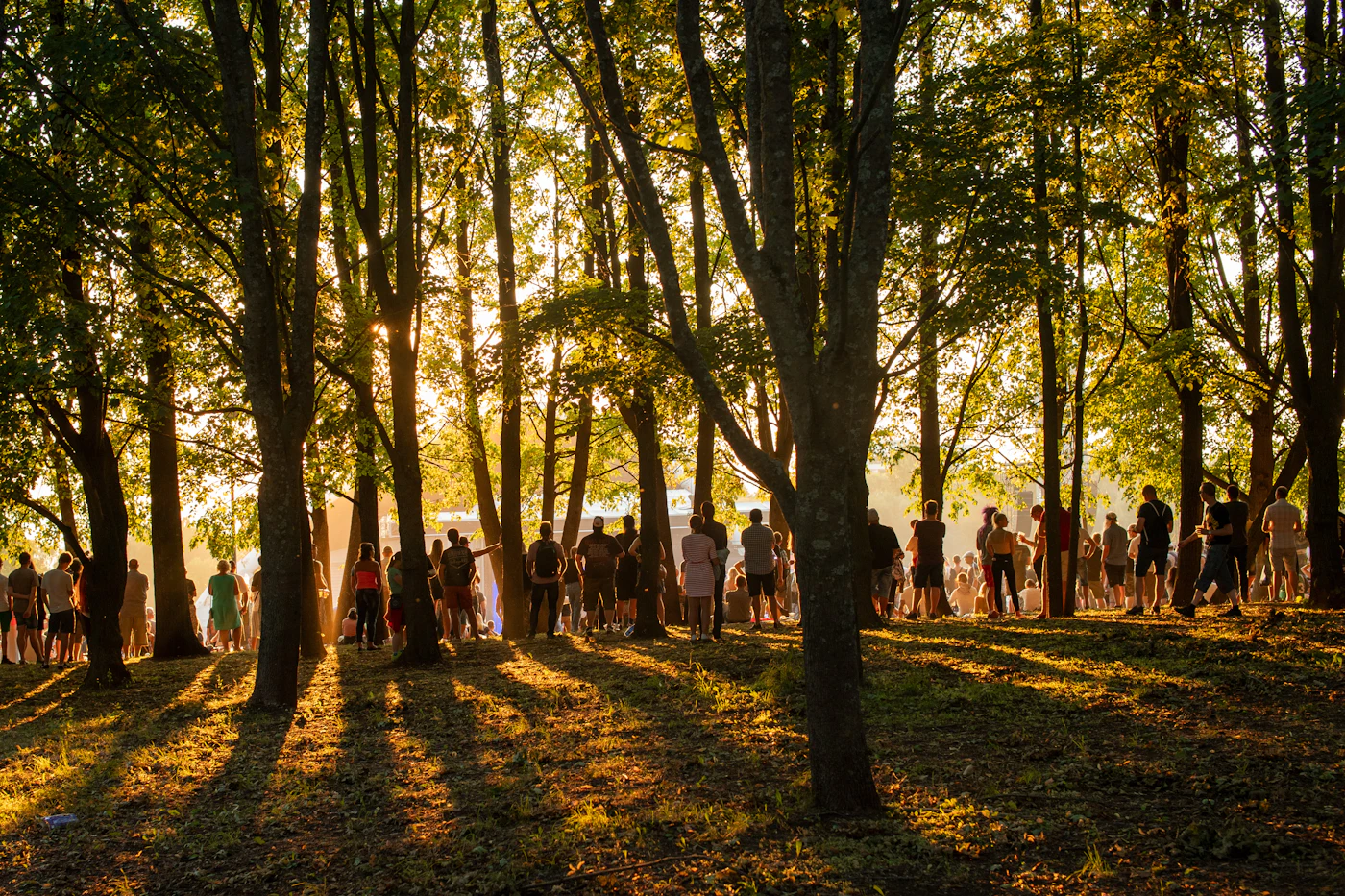 Das Sängerfest-Gelände in Tallinn, Schauplatz des estnischen Sängerfests