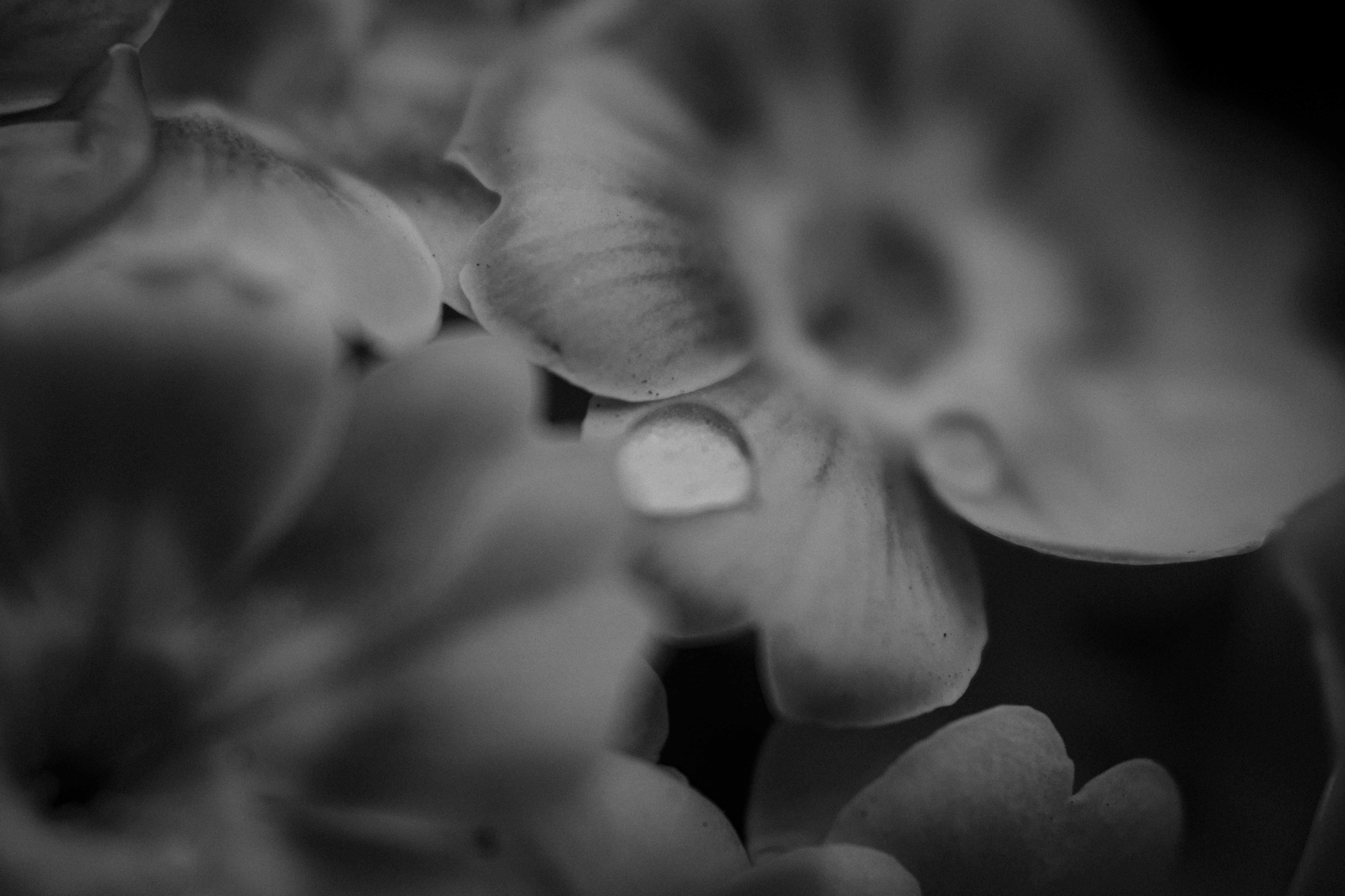 Photo by reinisbruzitis