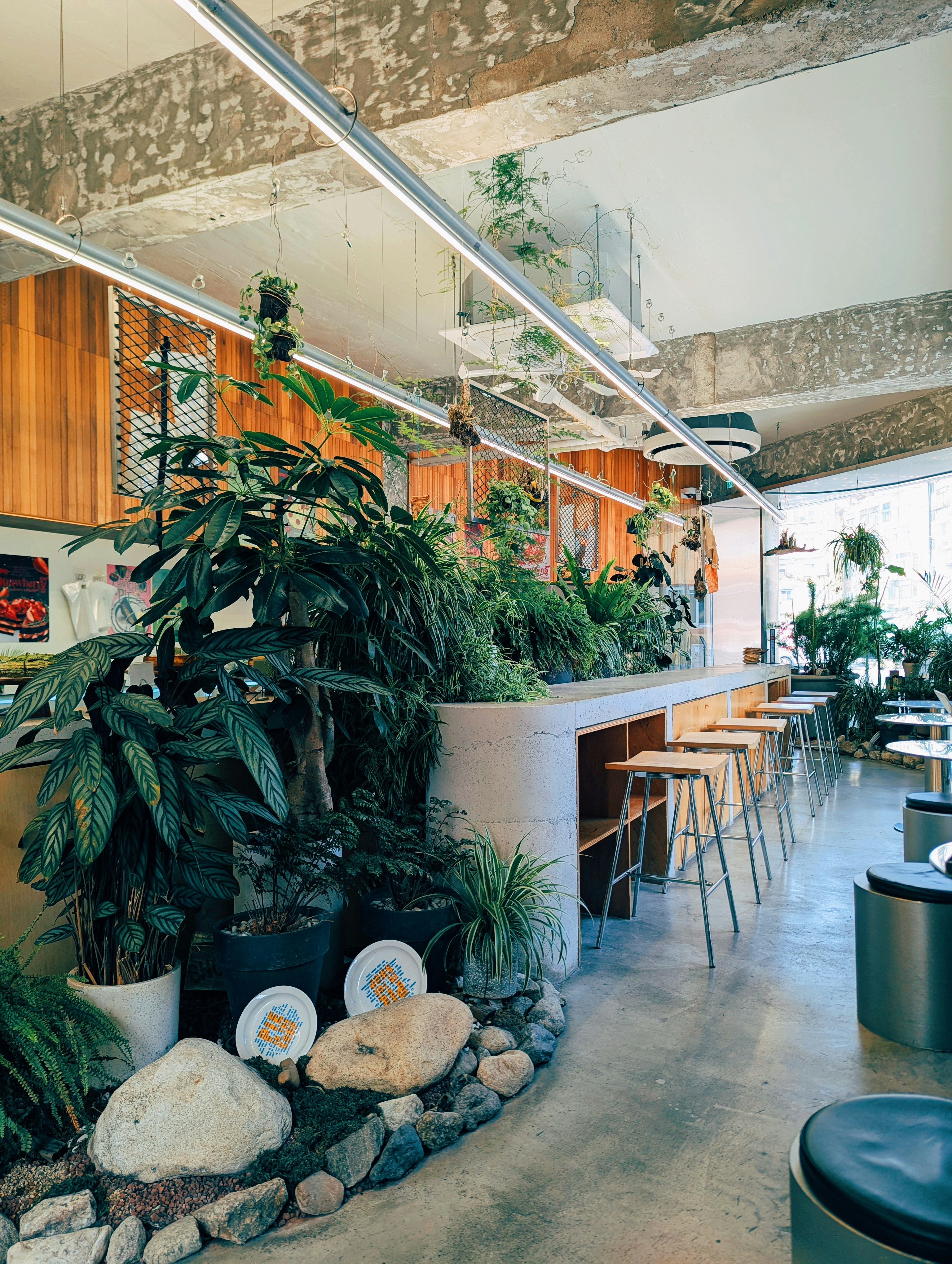 Interior kafe dengan tanaman hijau subur dan tempat duduk.