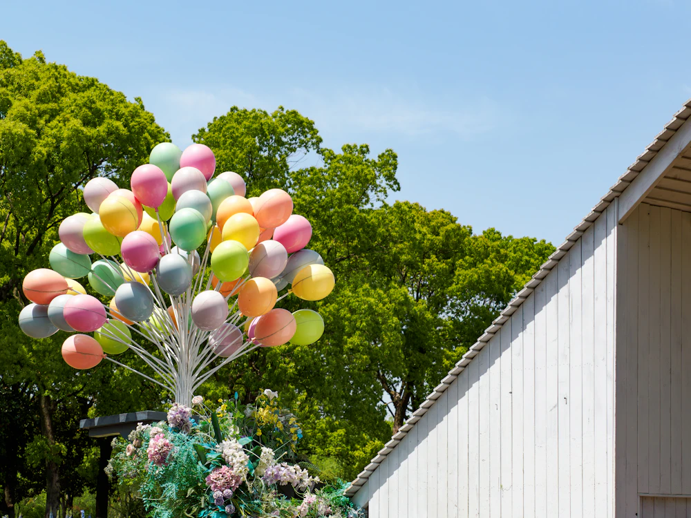 Engagement balloon backdrop