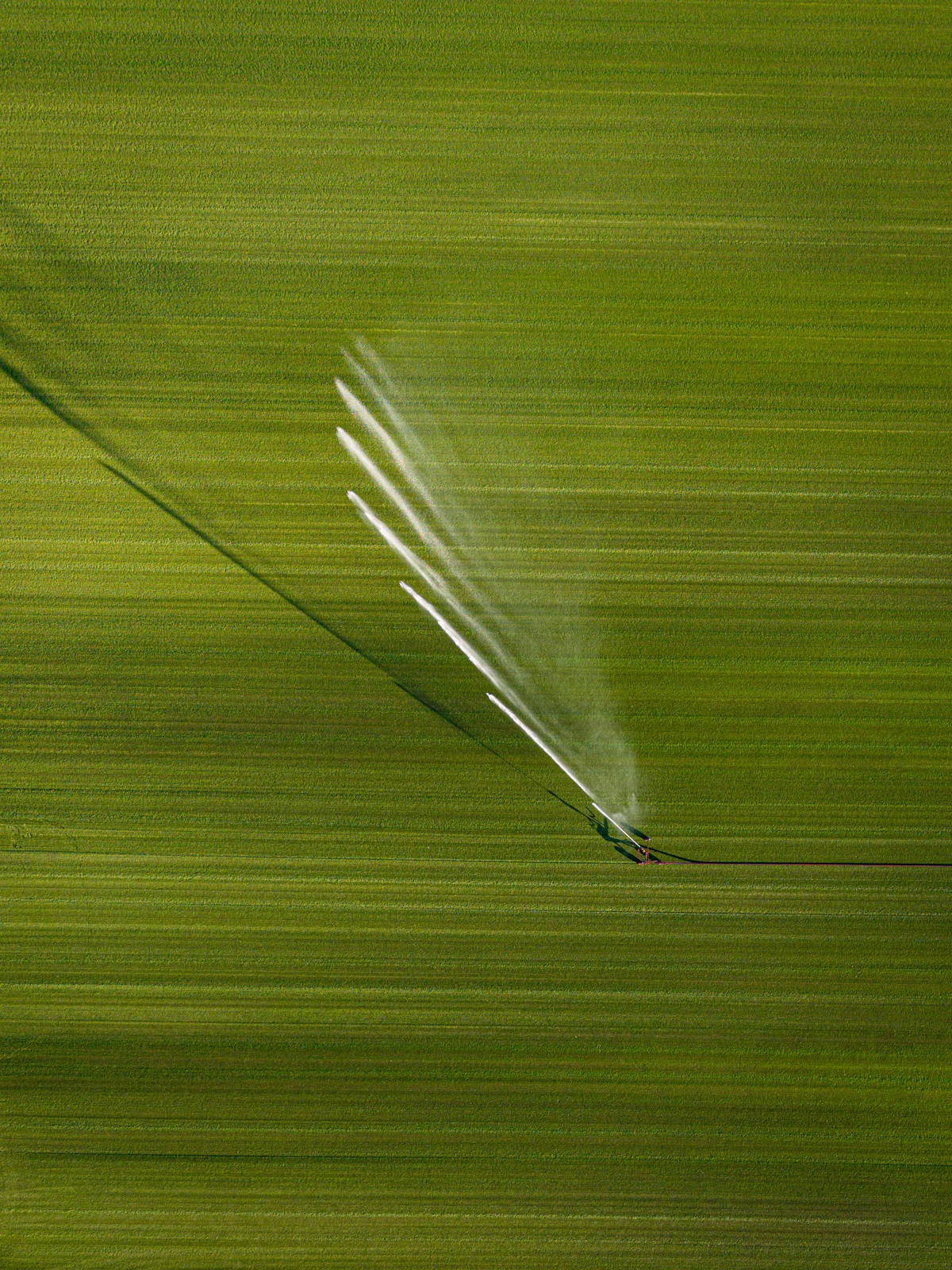 Rain gun spraying over a green field