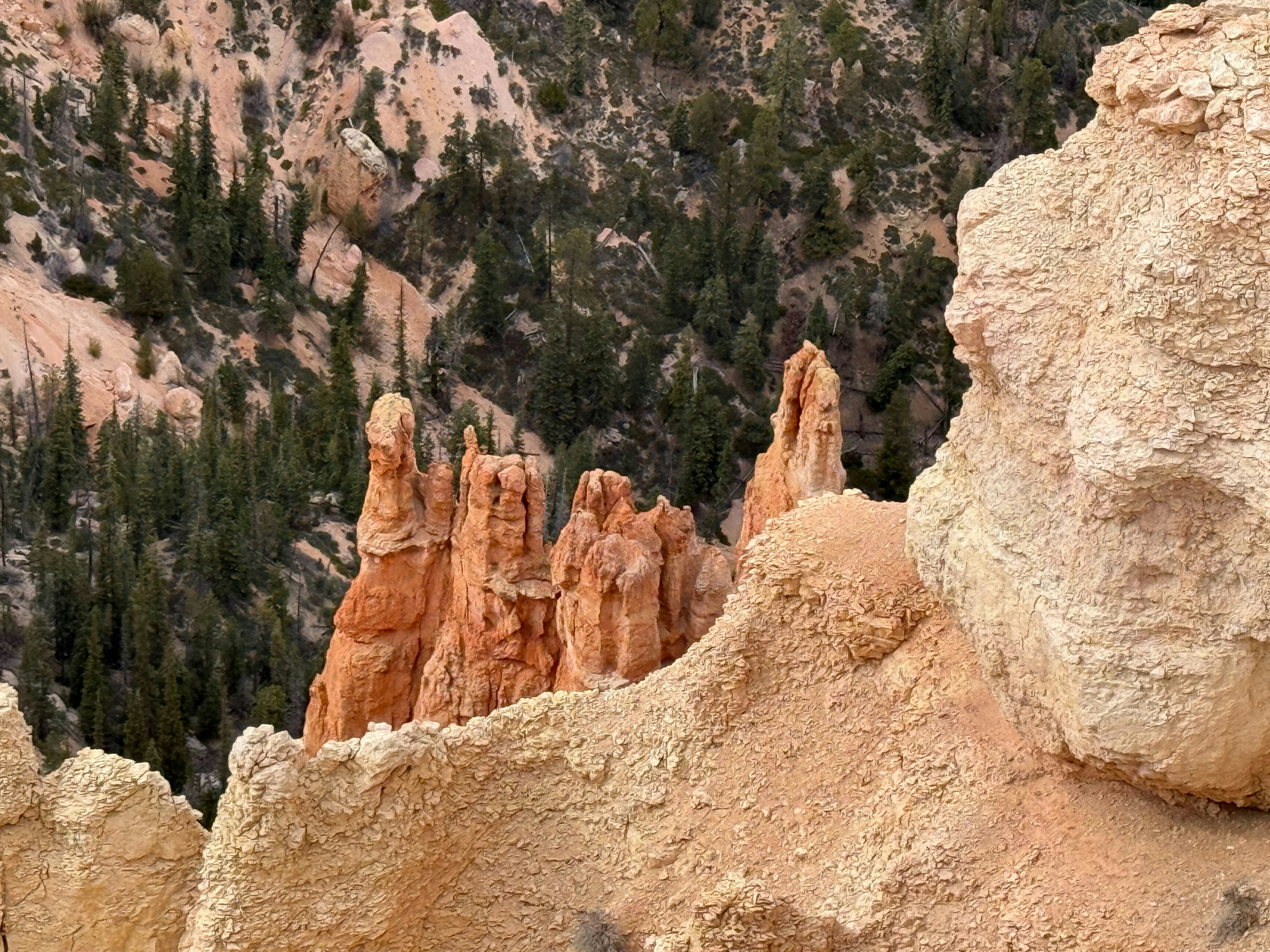 Orange rock formations with pine trees in background - Free Photo on ...