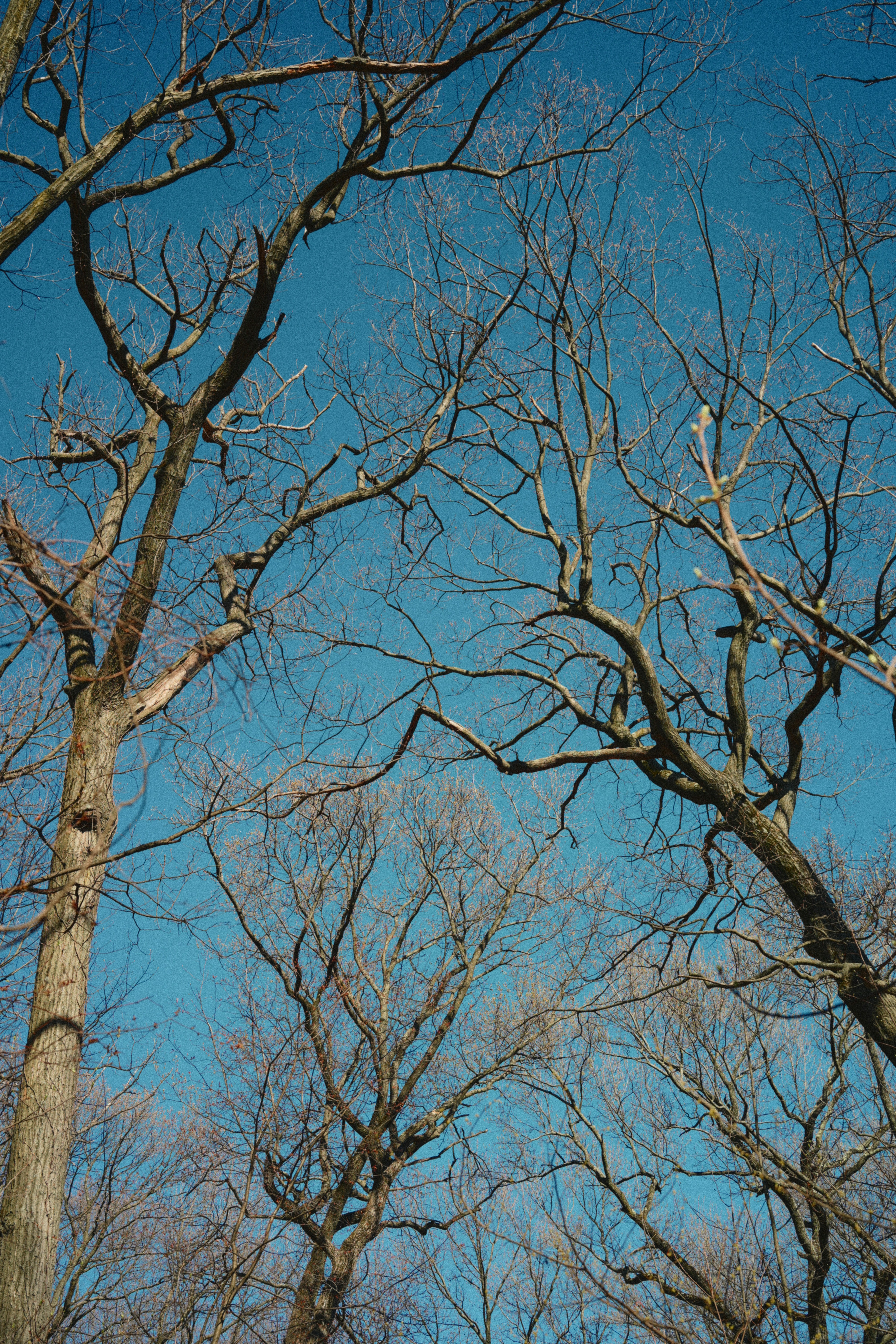 Photo by yi2026
