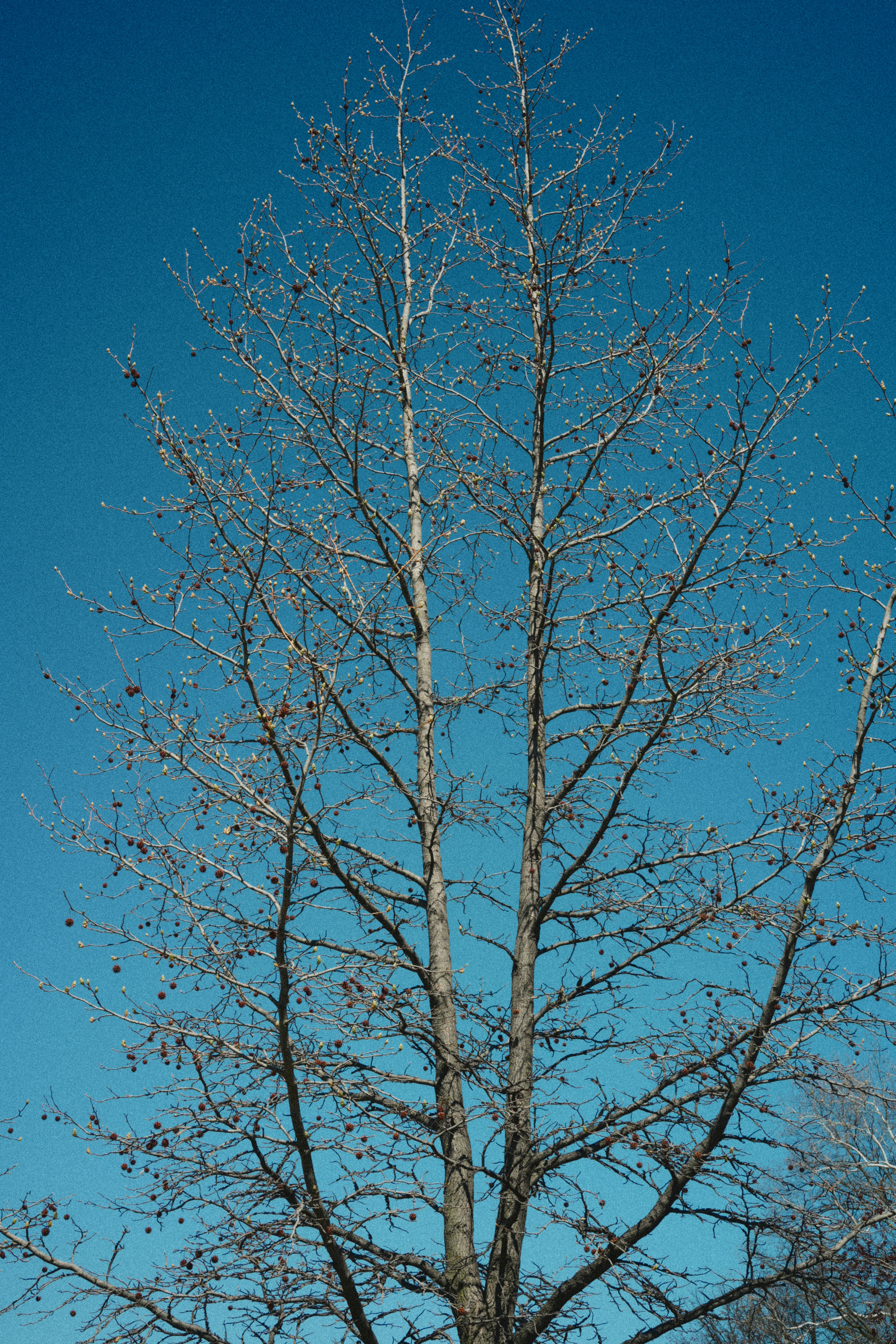 Photo by yi2026
