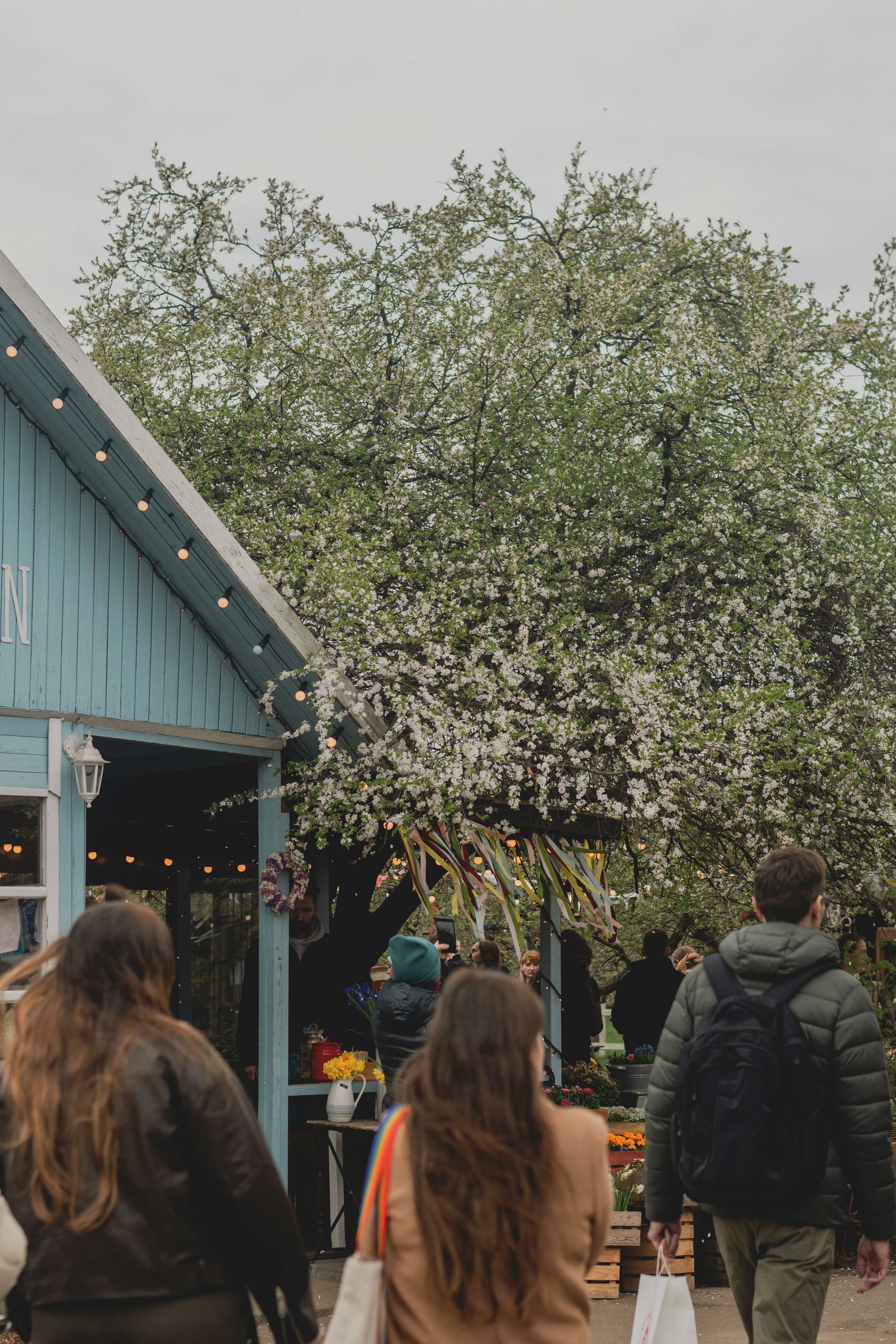 People walk past a blooming tree and blue building.