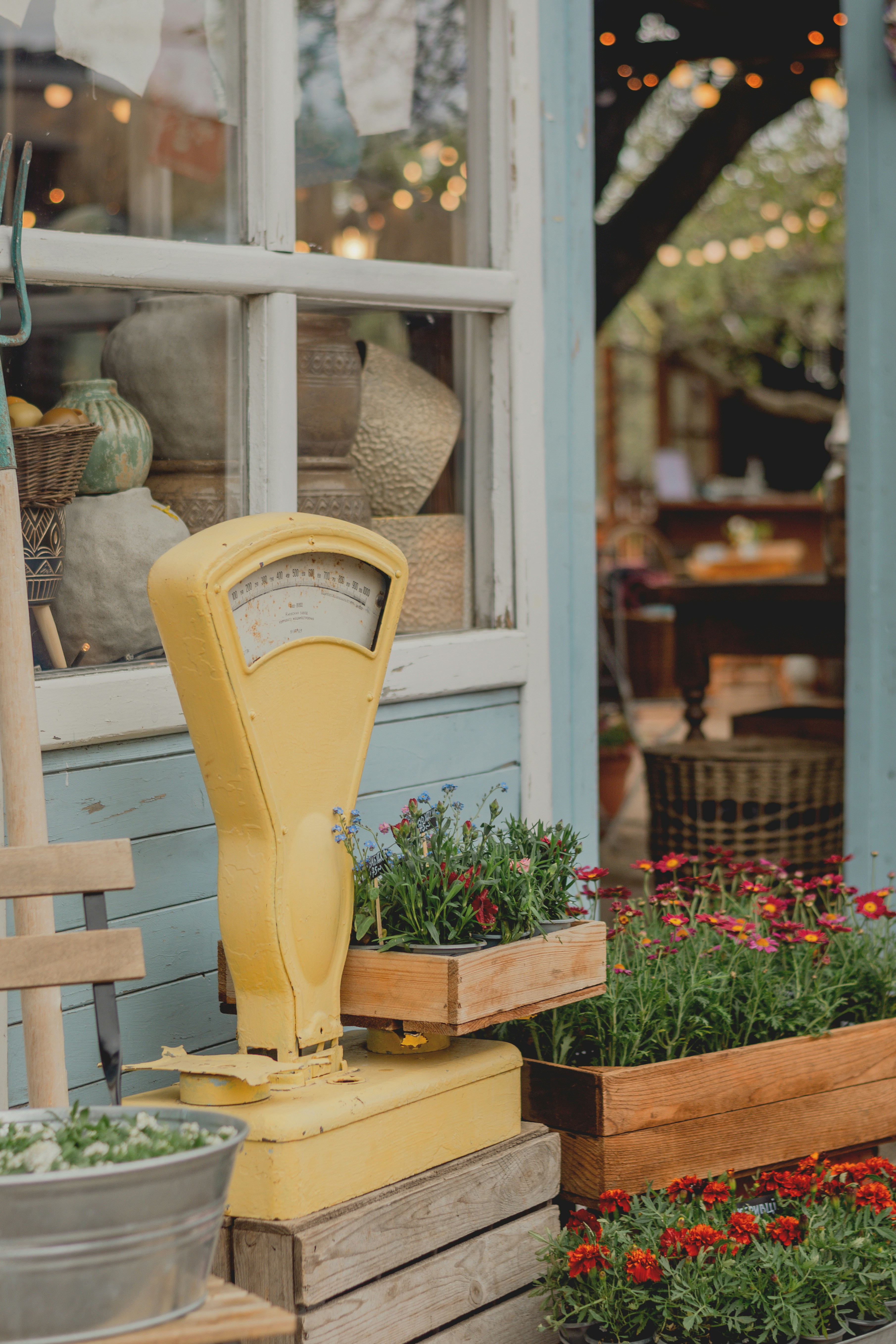 Yellow vintage scale with potted flowers outside shop display