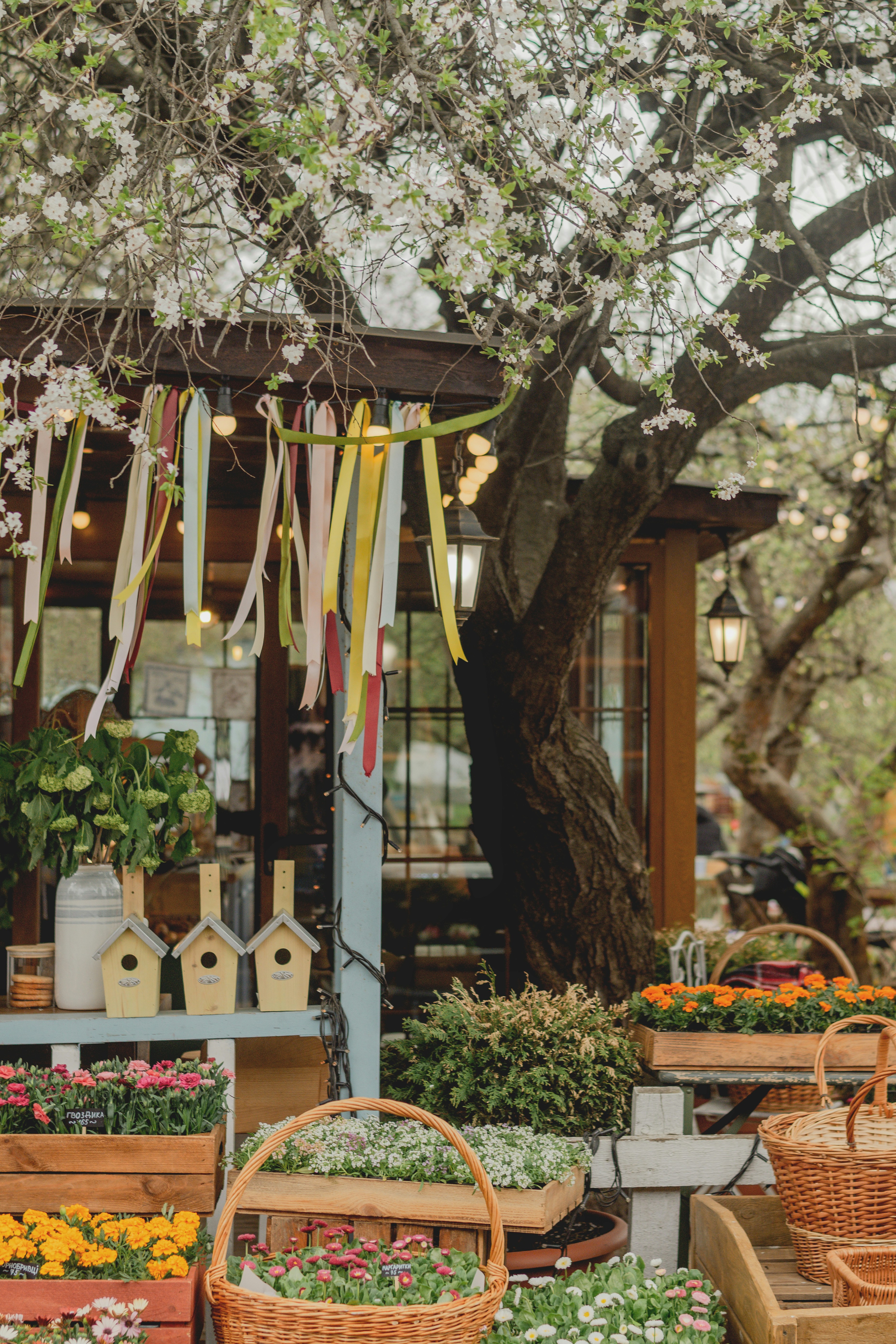 Flower stall with blooming tree and ribbons