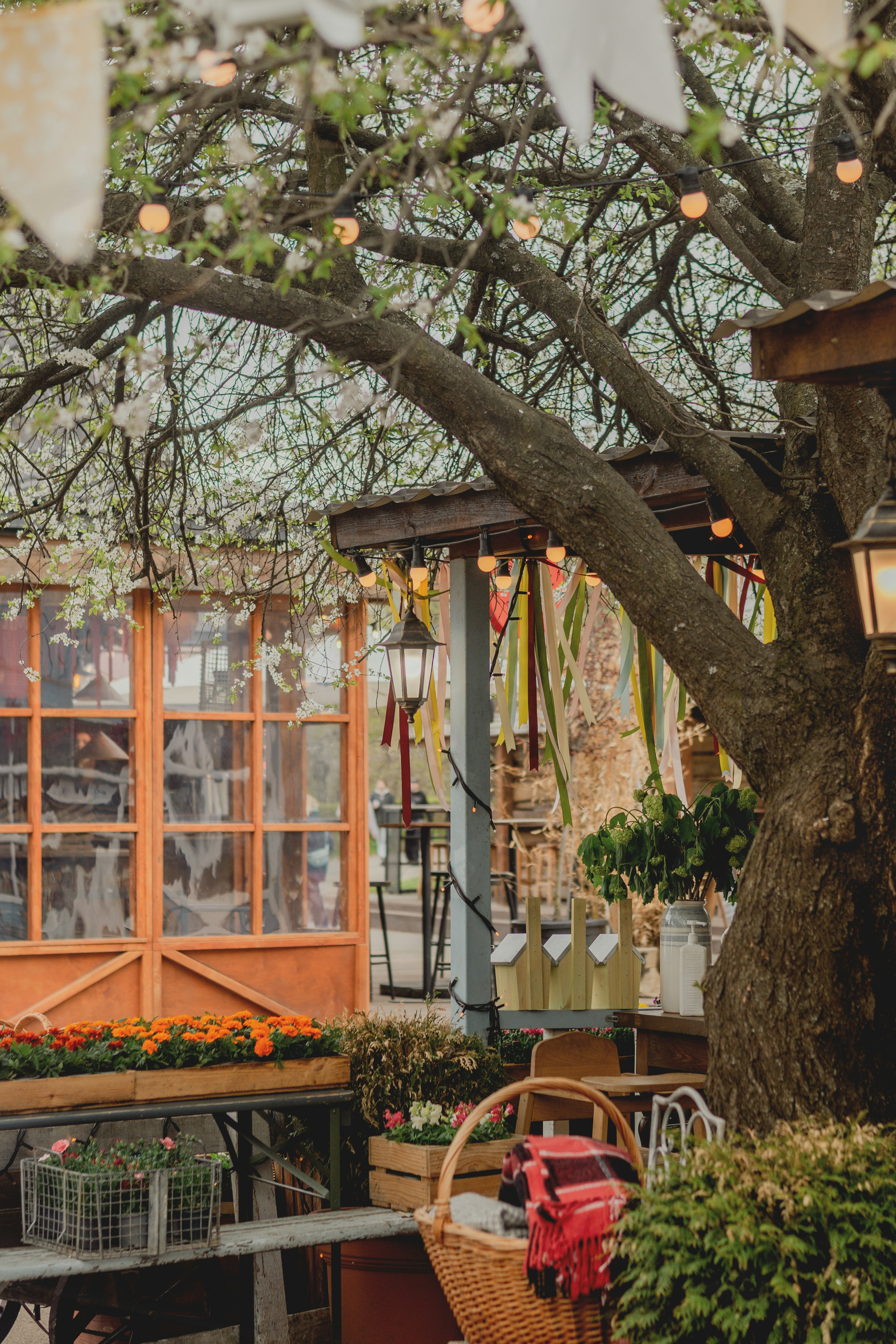 Outdoor seating area decorated with string lights and flowers
