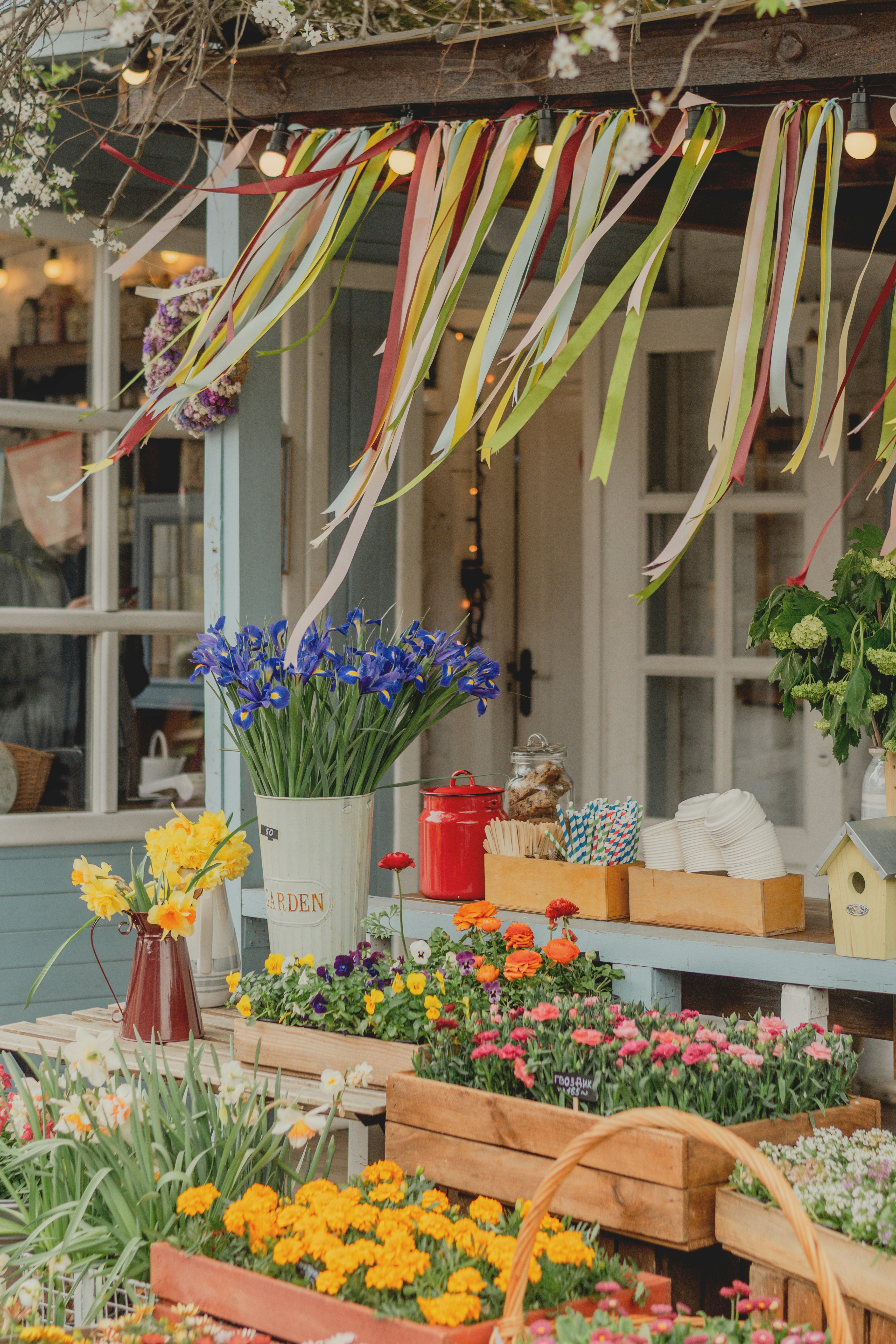 Colorful flowers displayed outside a charming shop entrance.