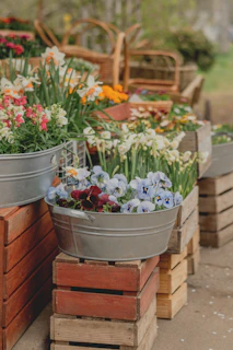 Assortment of colorful spring flowers in rustic containers.