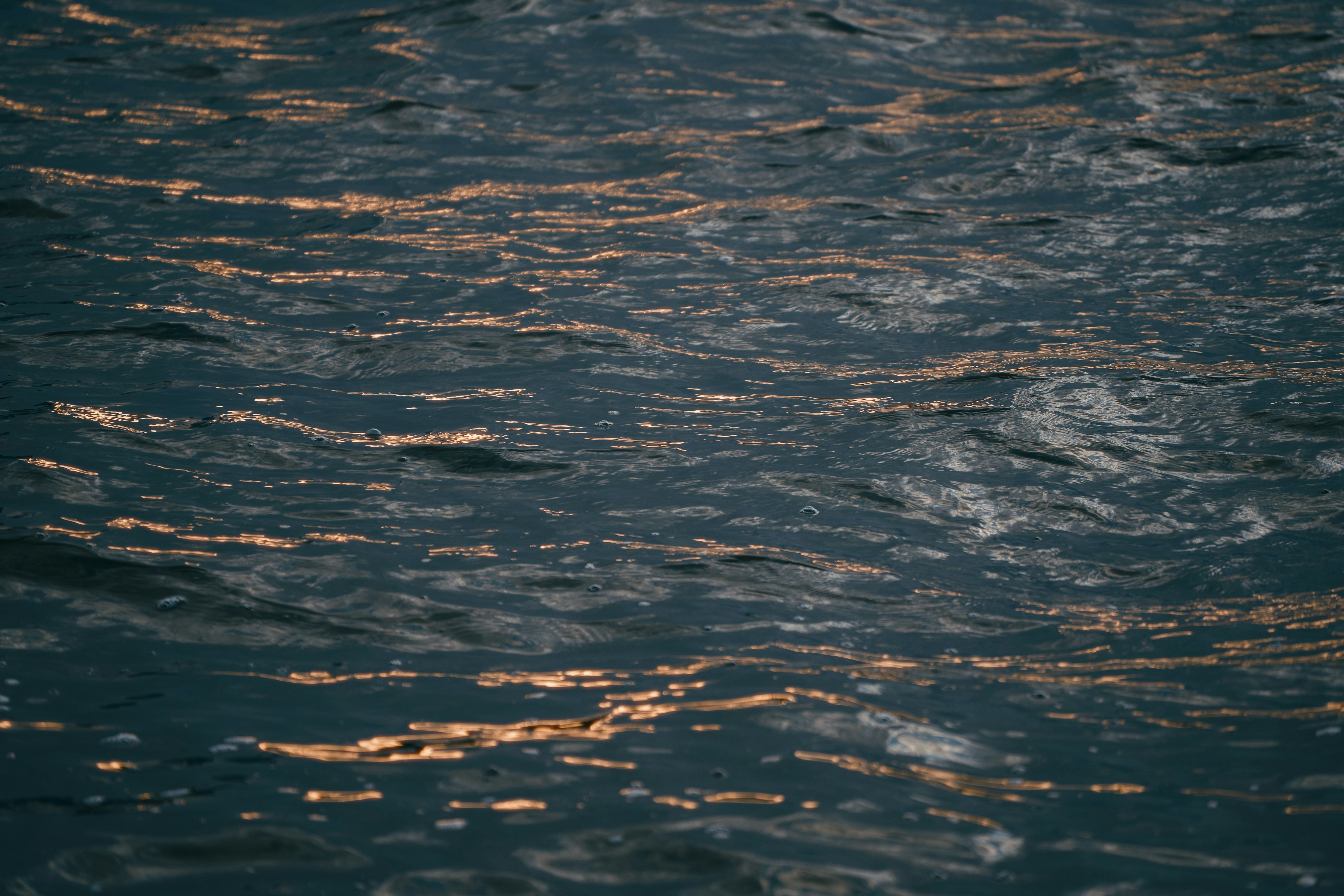 Rippling dark water with golden sunlight reflections.