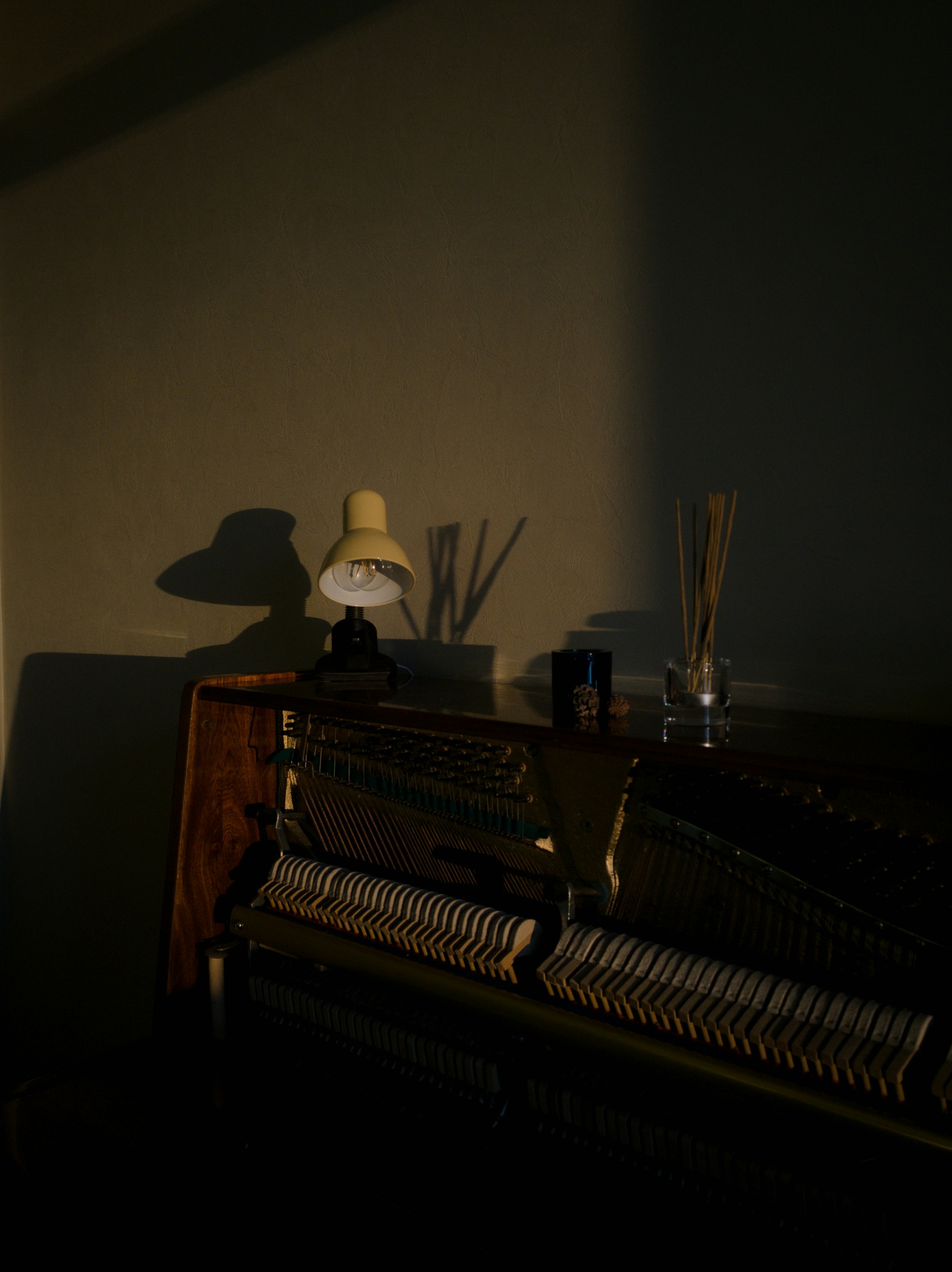 Photo by anatolysc