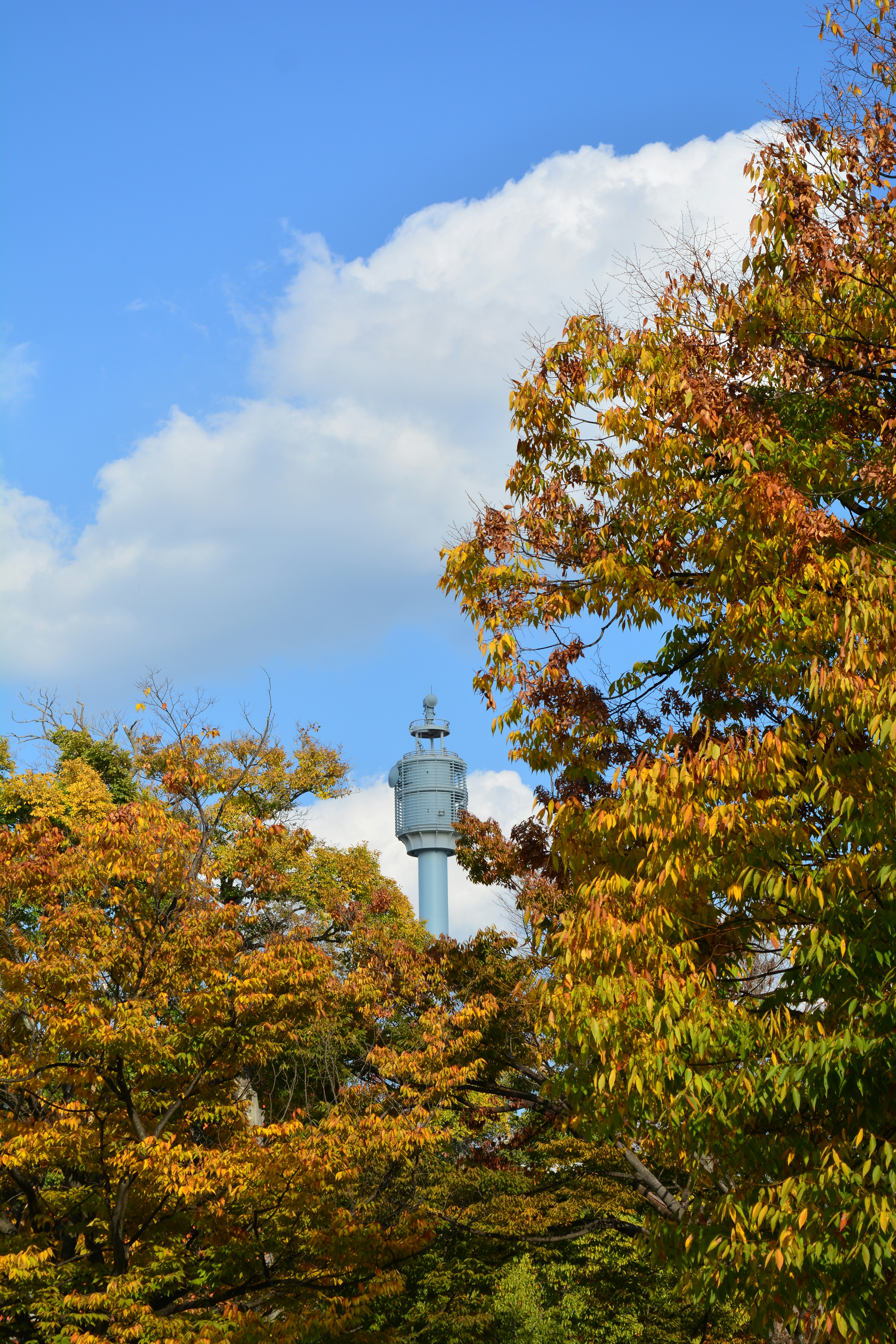 Day 2 Afternoon: Senjokaku, the Ropeway, and Omotesando