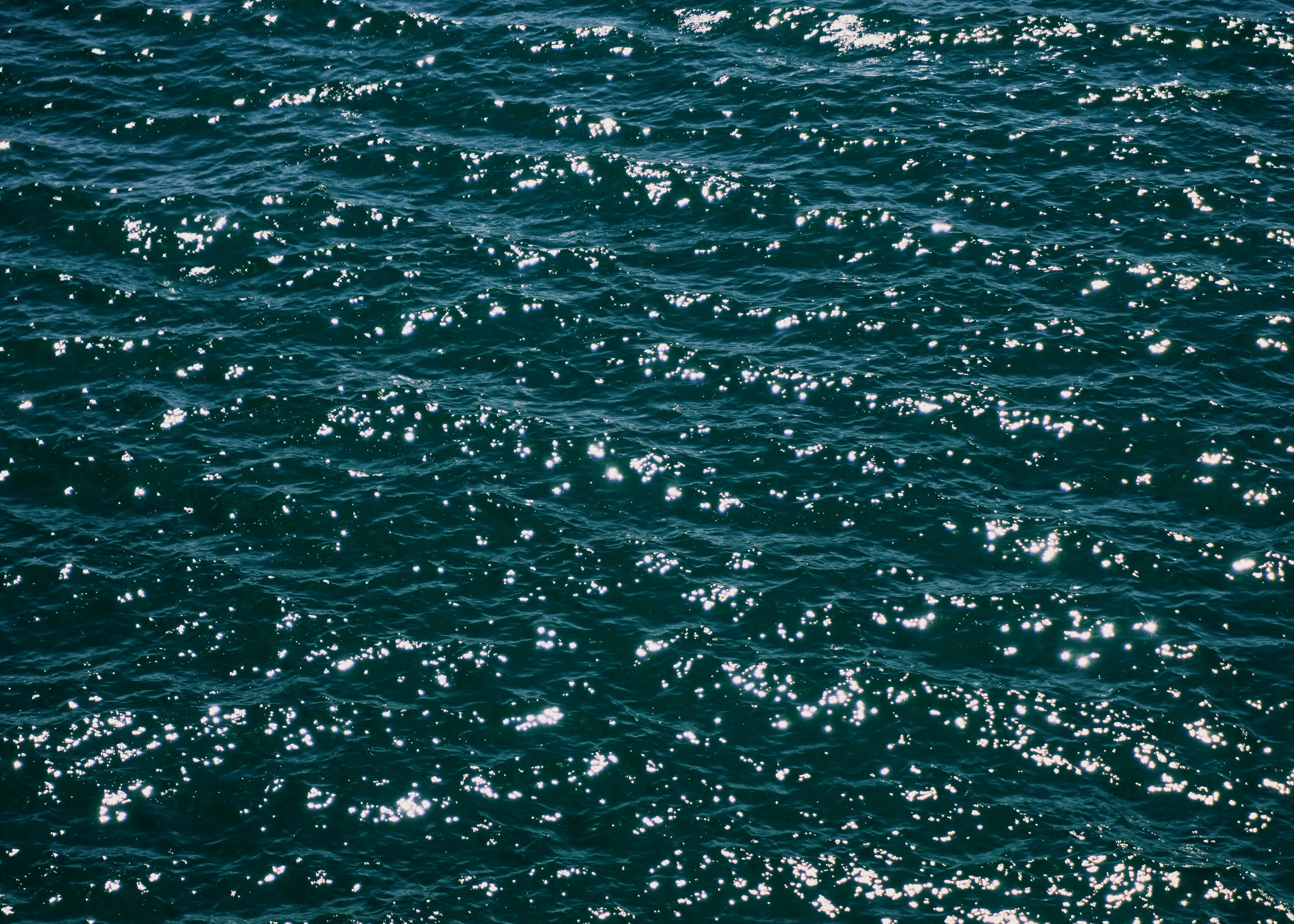 Photo by alettadnagy