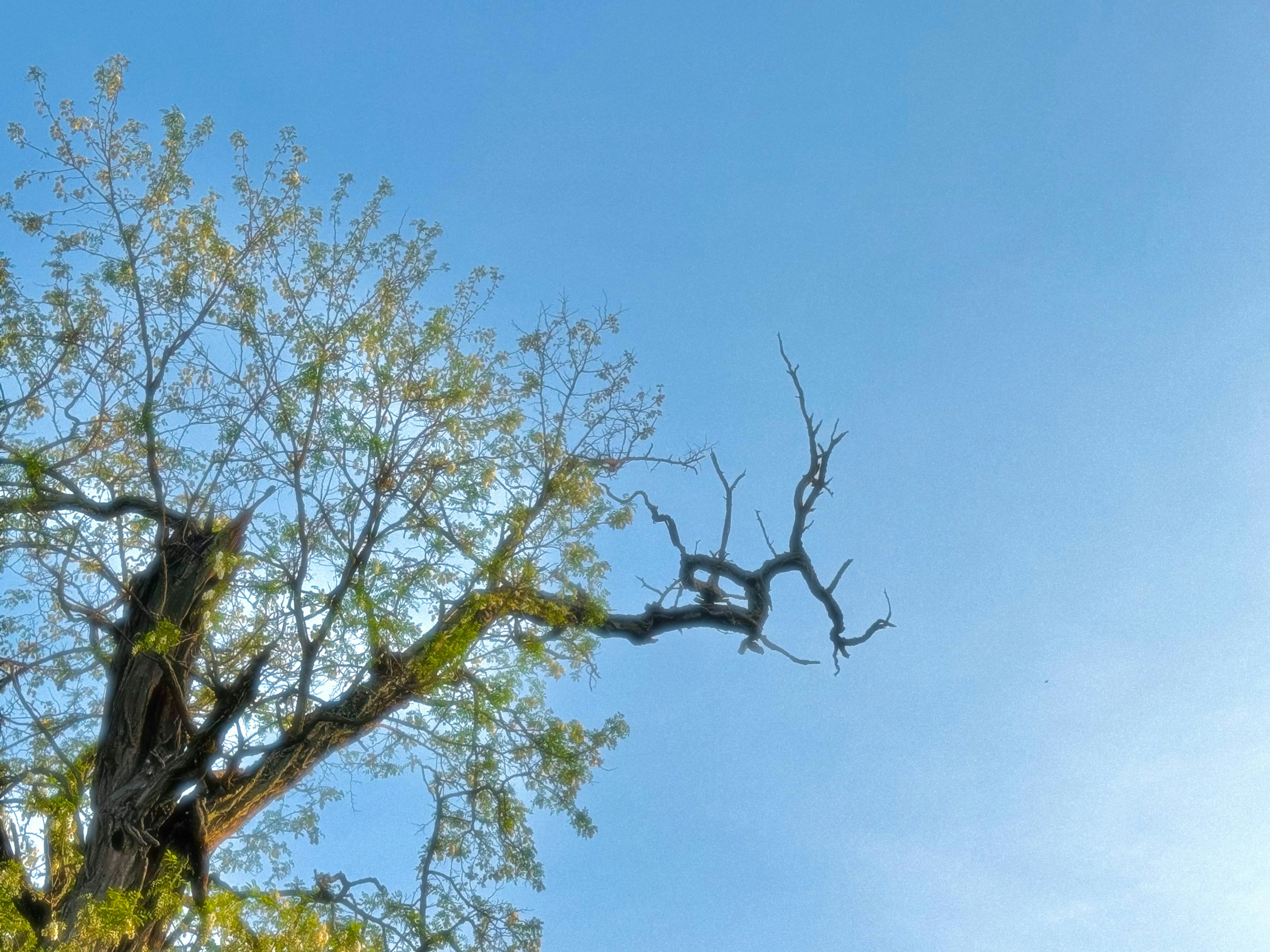 Photo by fjf64