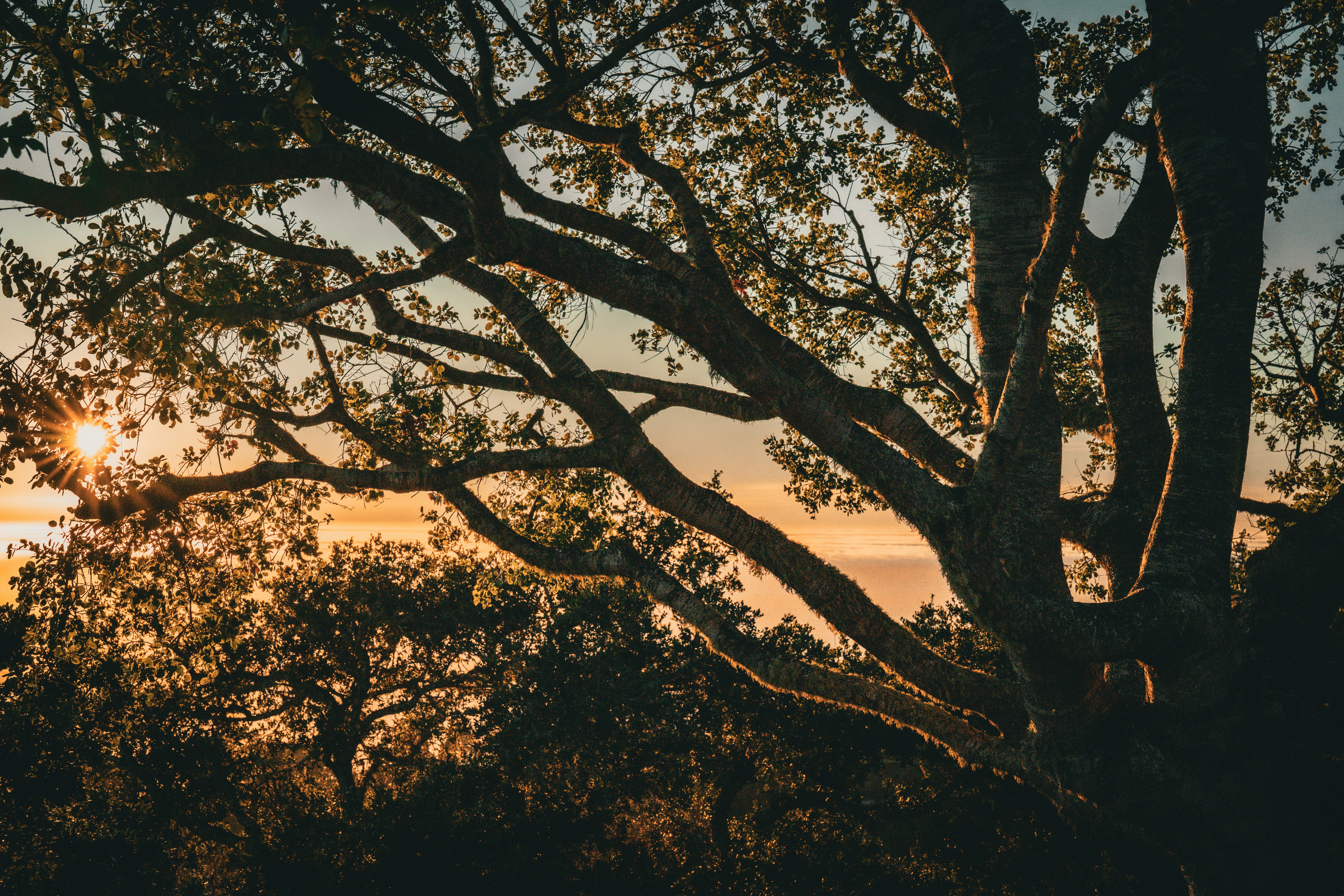 Photo by samtakespictures