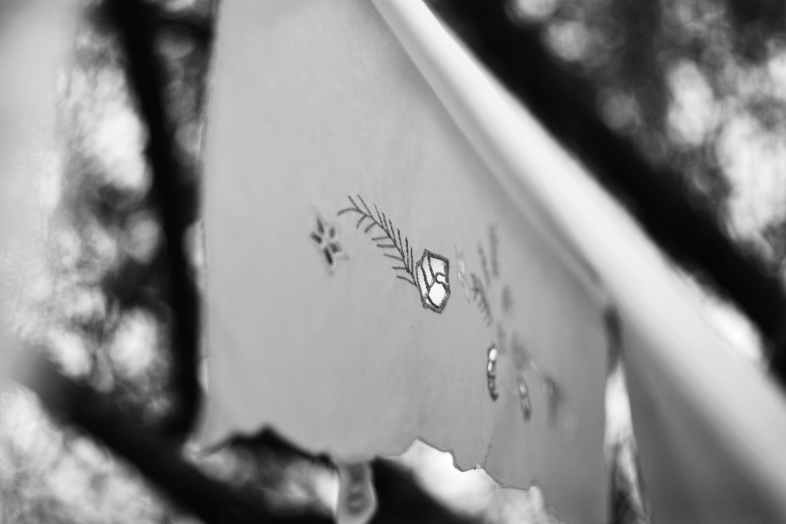 Embroidered Silk Scarf