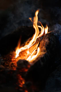 Flames dance around burning logs with wisps of smoke.