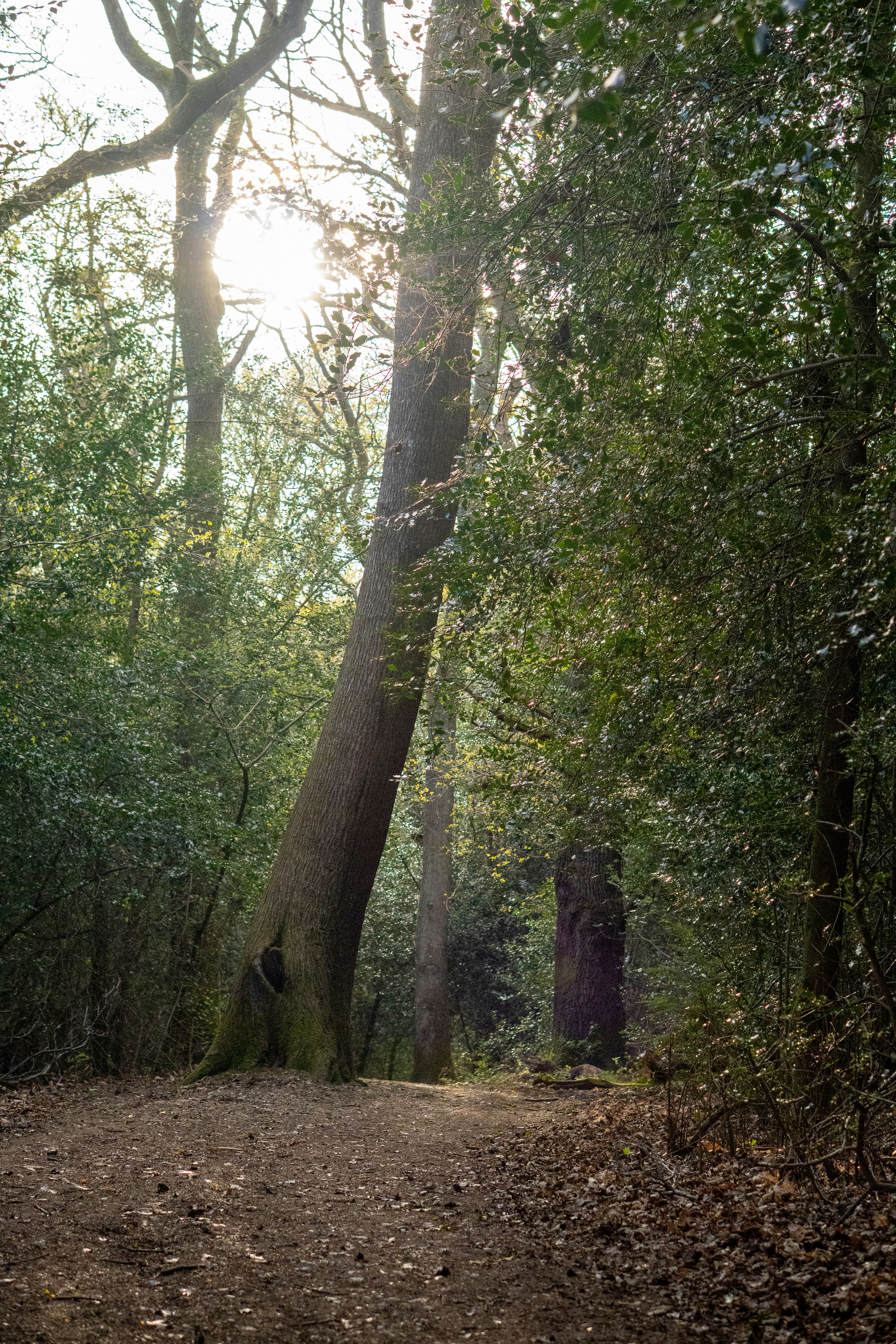 Photo by robwingate