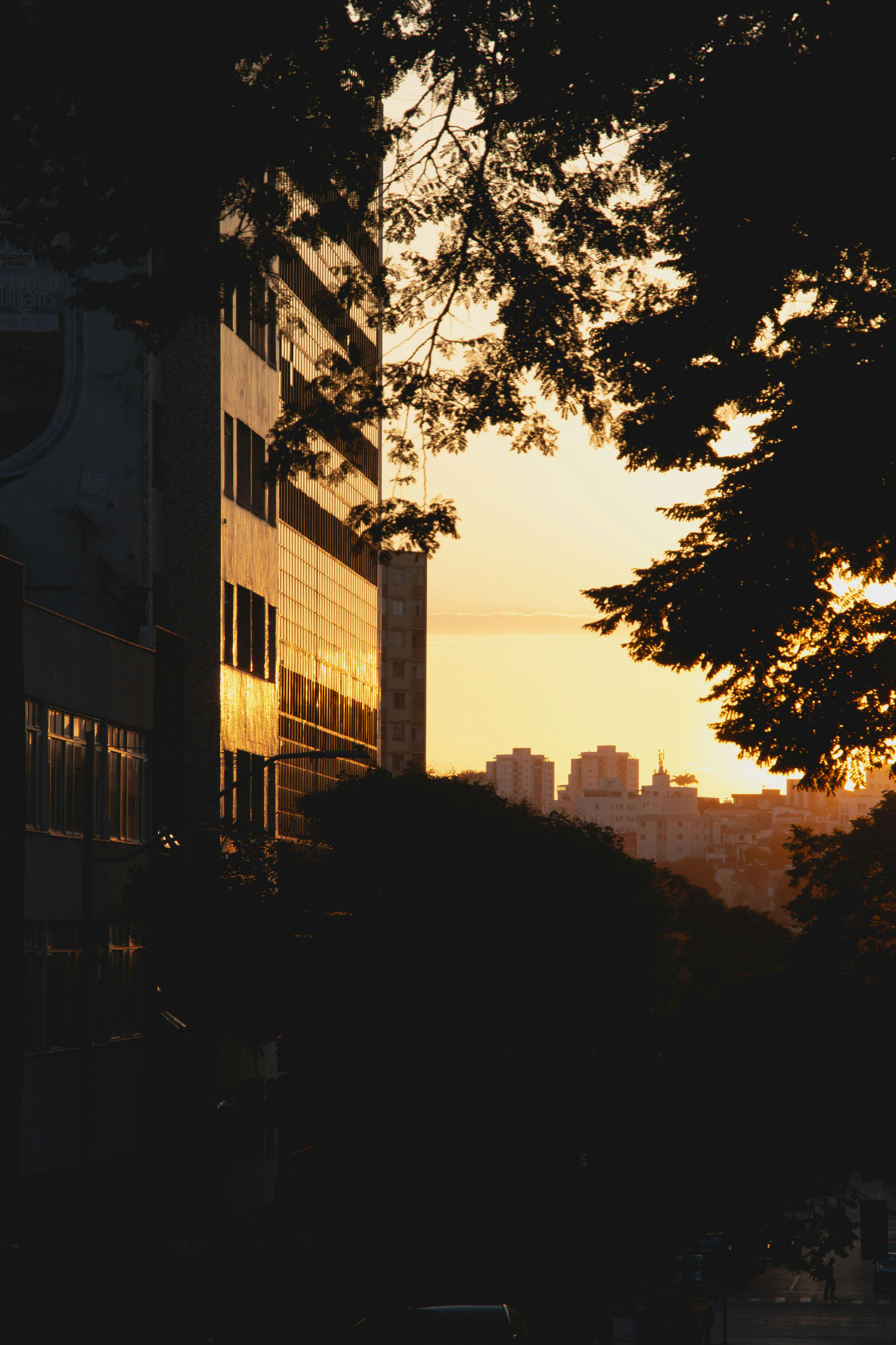 Photo by eversonvansoski