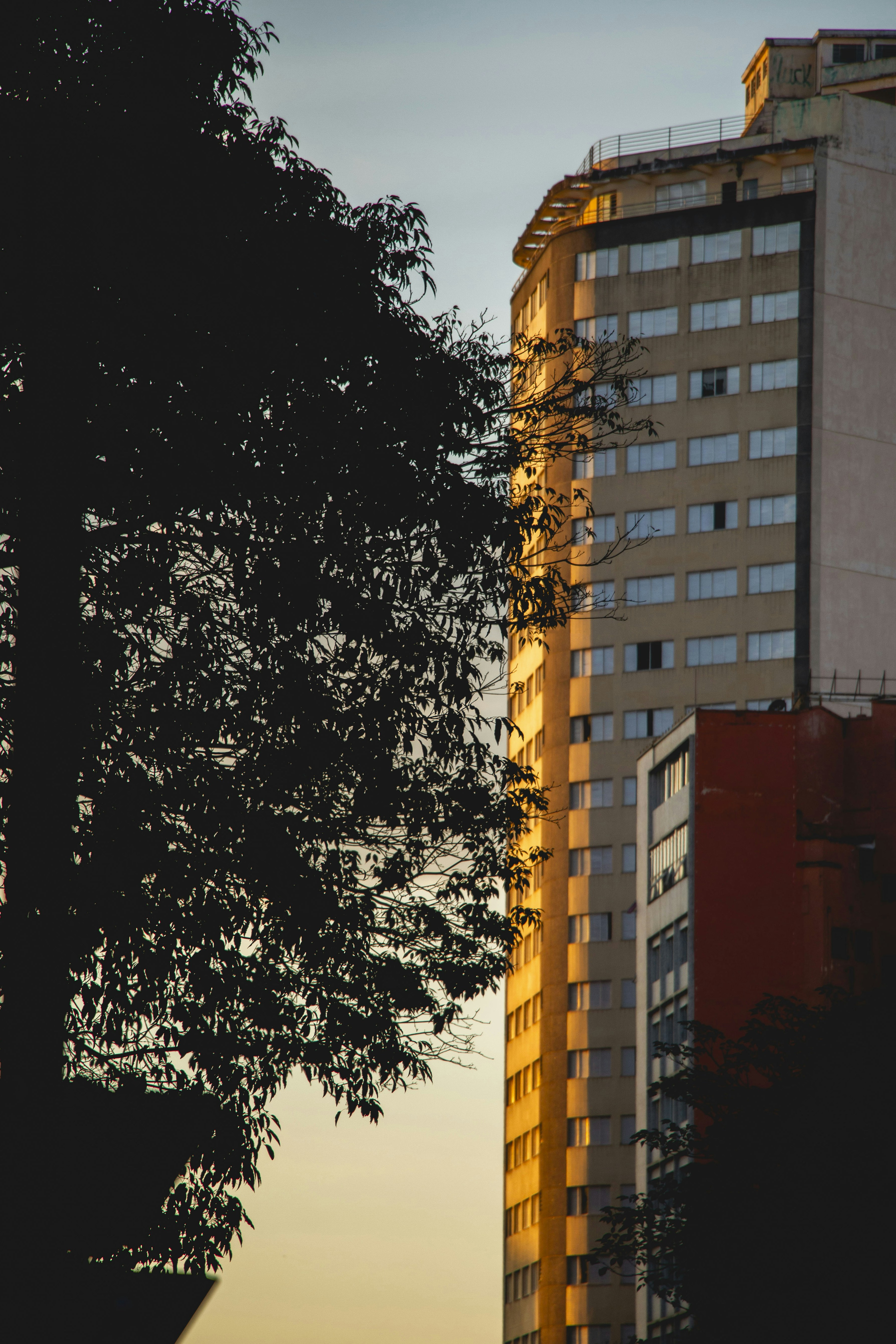 Photo by eversonvansoski