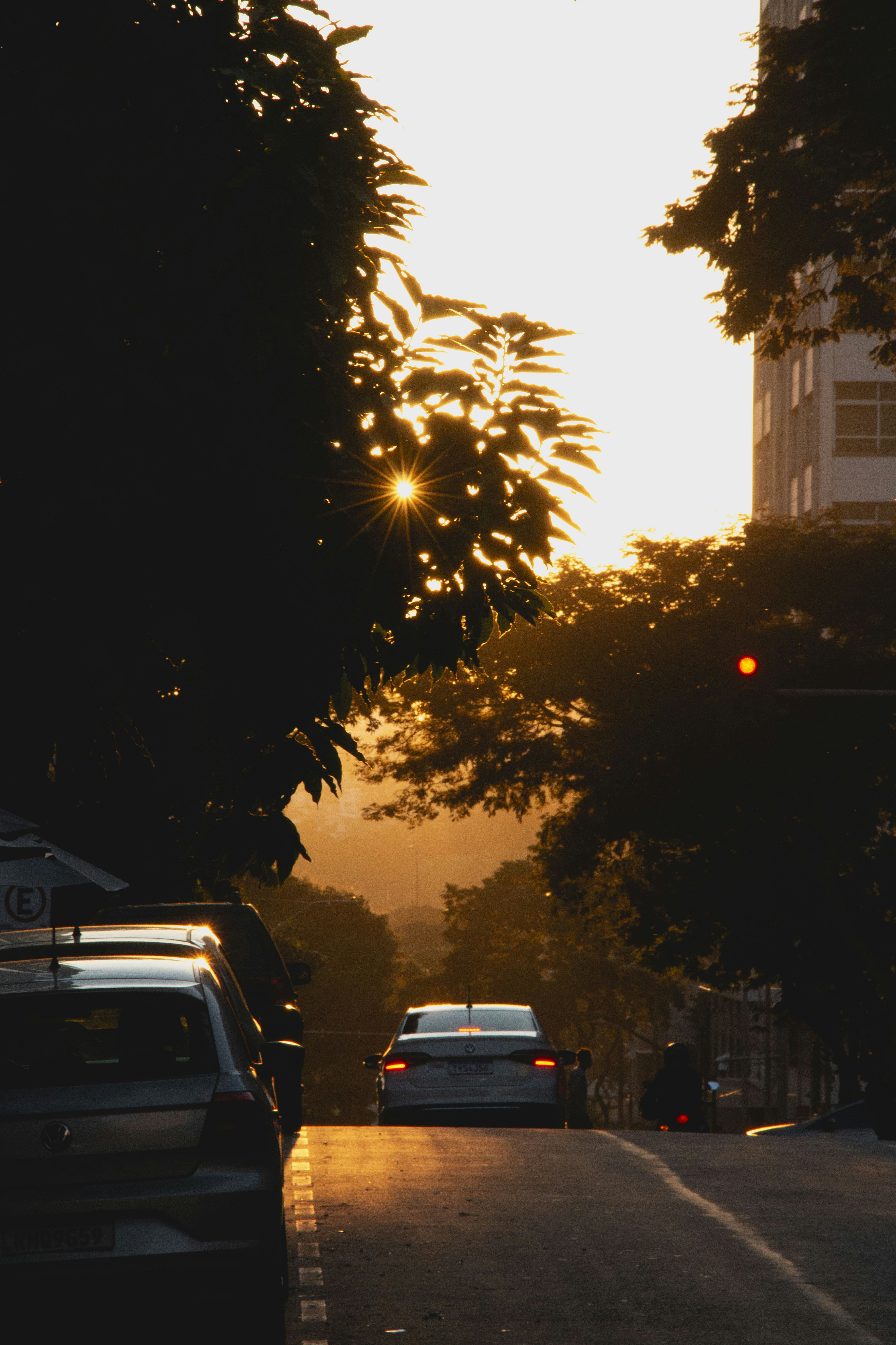 Photo by eversonvansoski