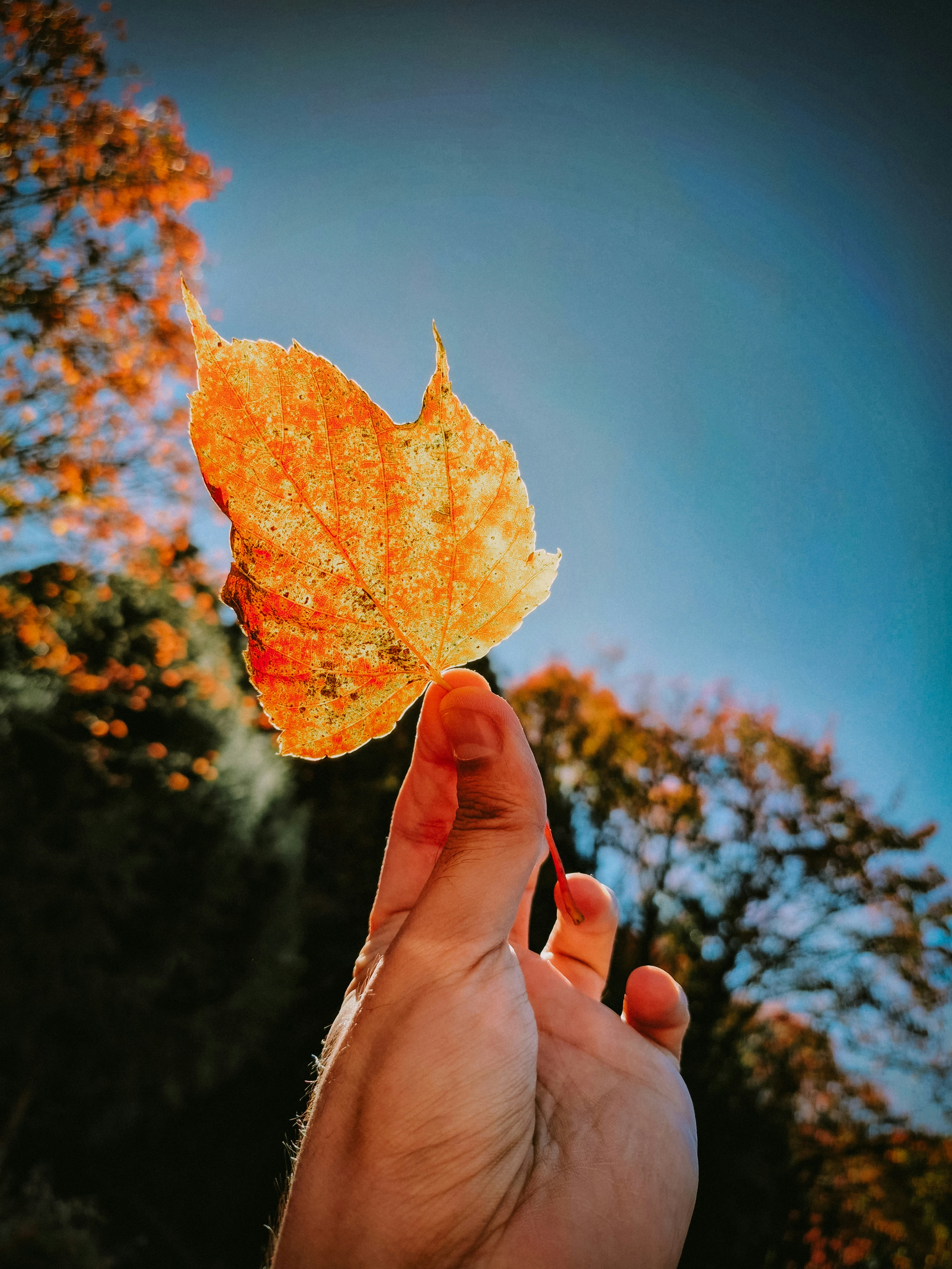 Photo by theaurumera