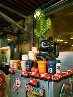 Black cat figure with cactus and coffee cups