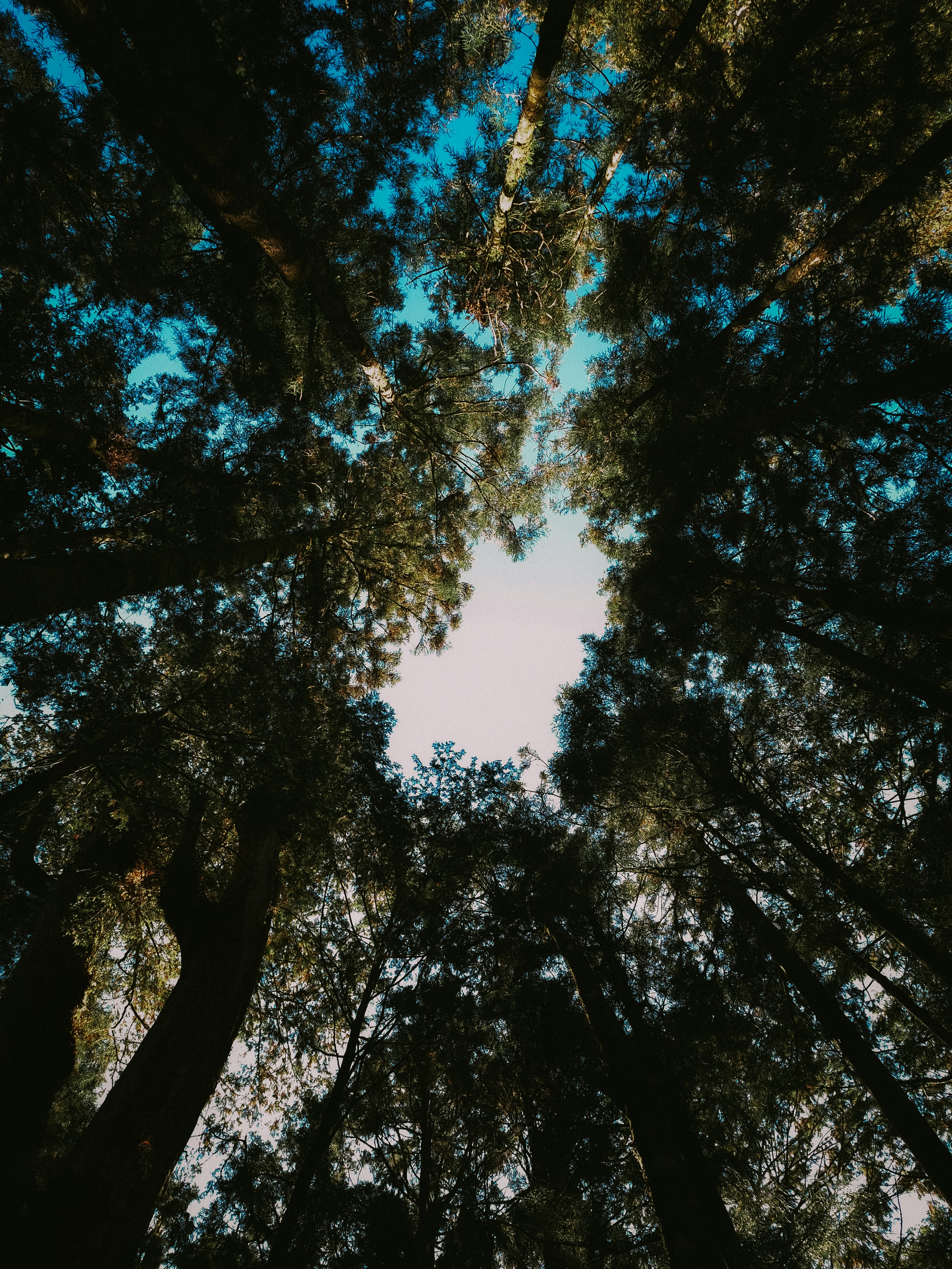 Photo by theaurumera