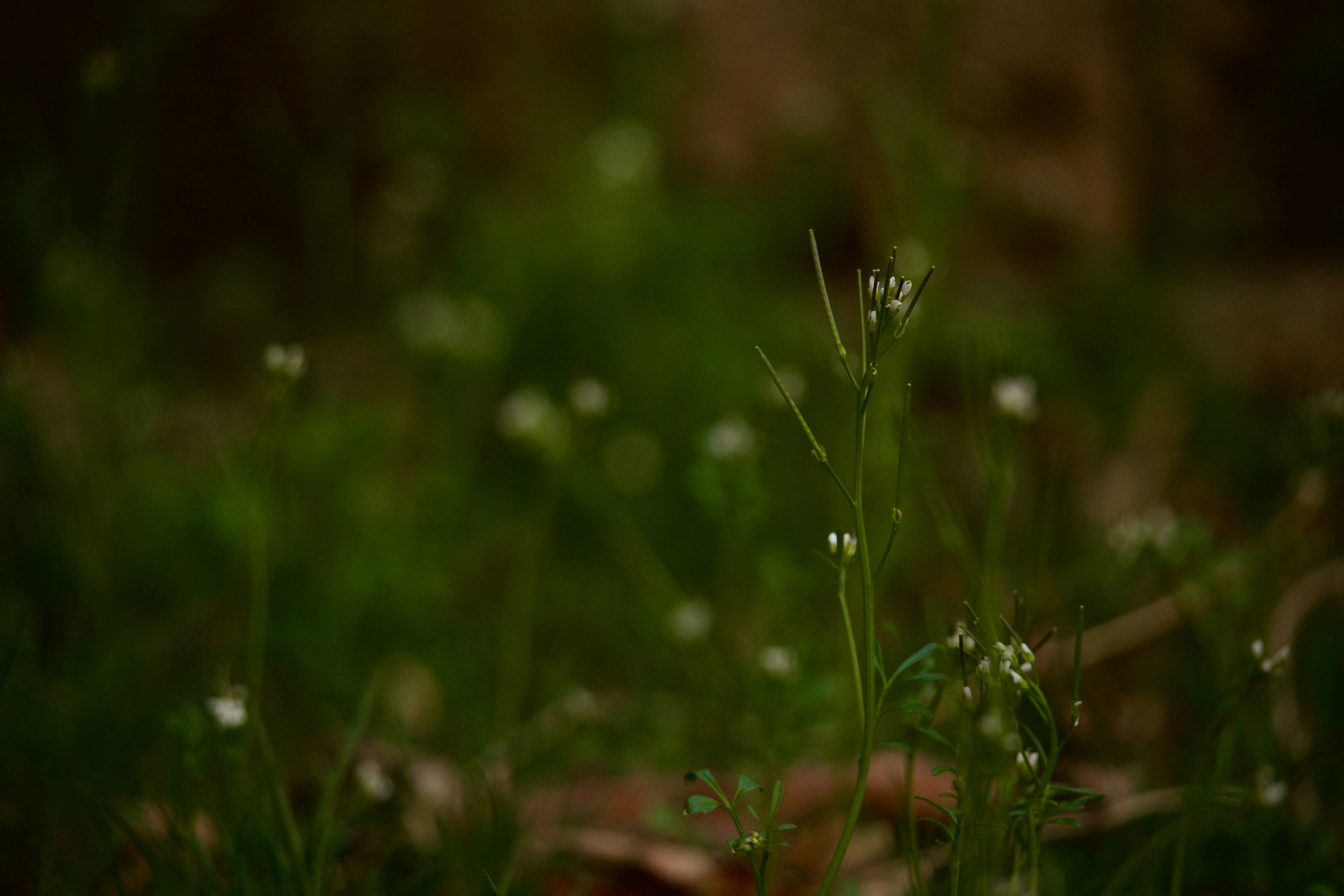 Photo by wadewinslow129