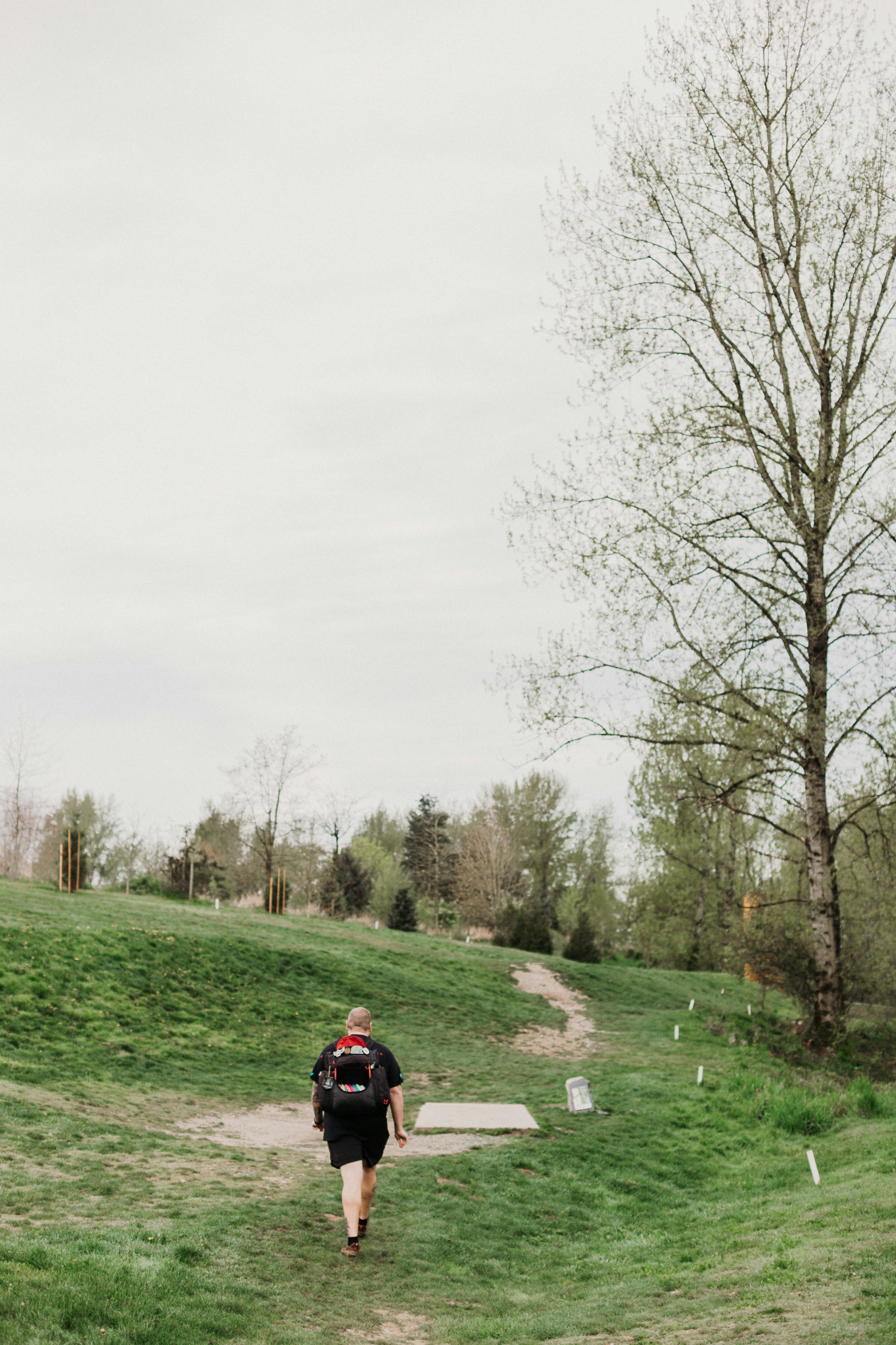 Person walking on grassy path towards trees