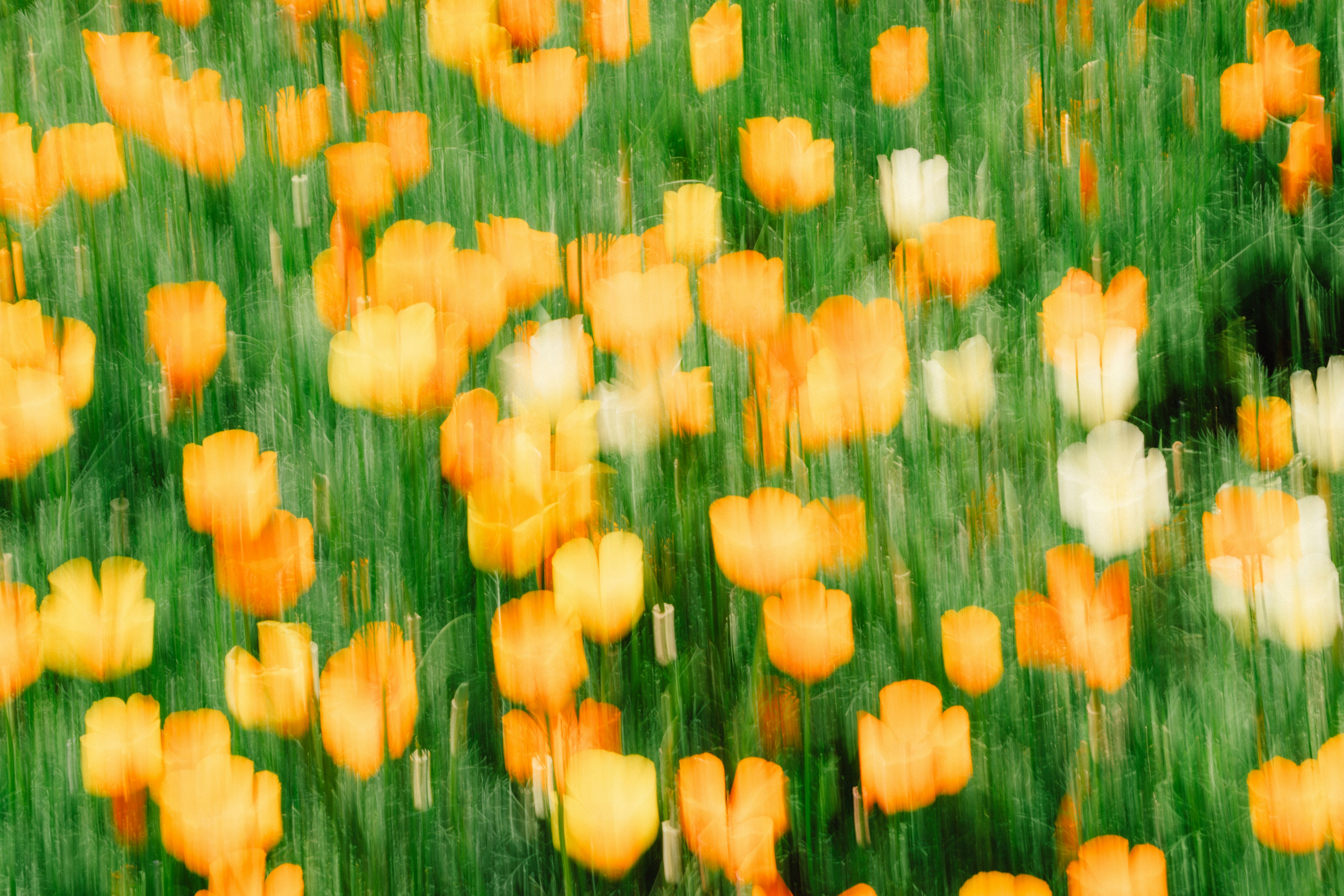 Steering through the Business Information Maze