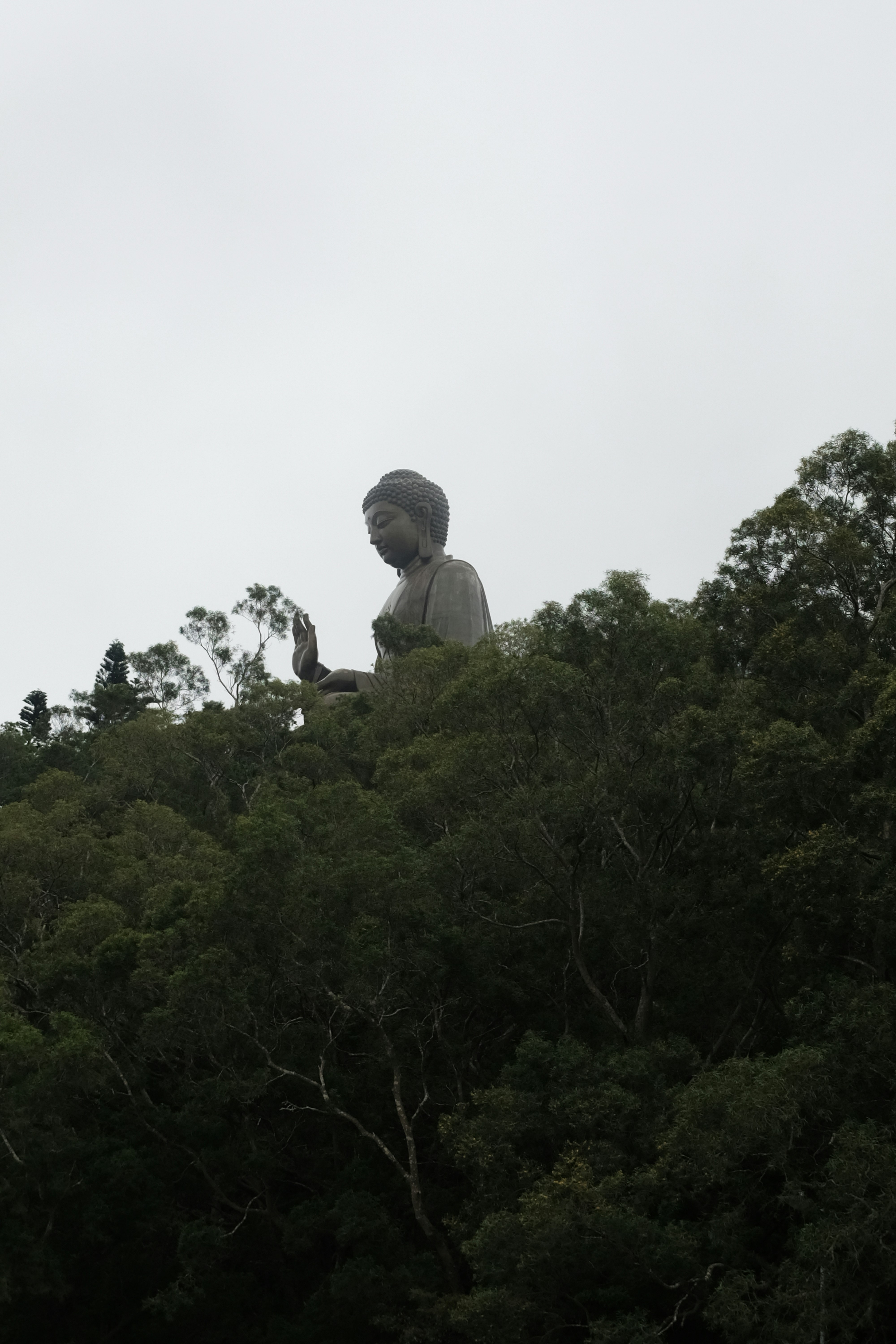 Navigating Lantau Island