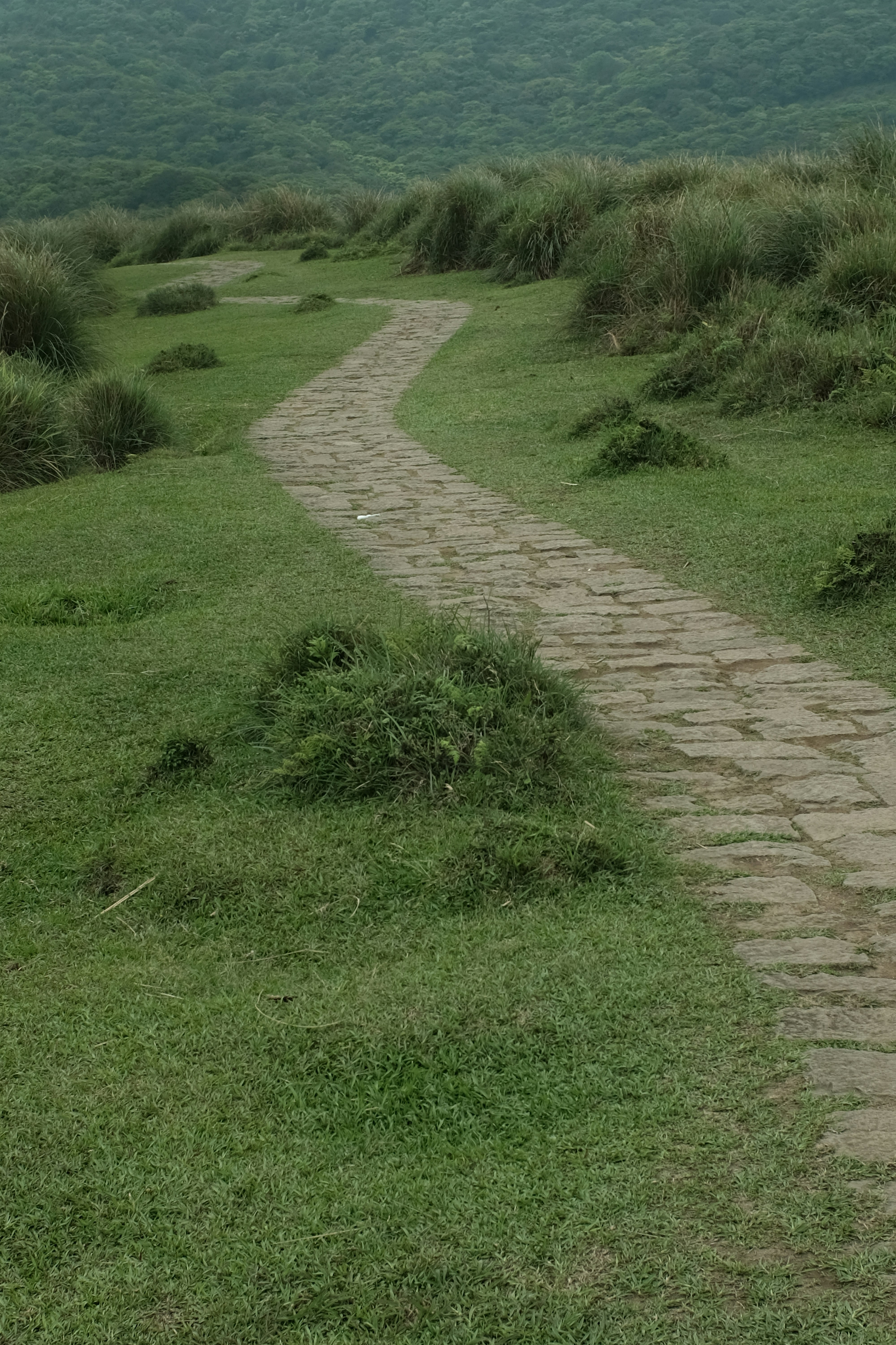Jalan batu berkelok-kelok melalui semak-semak bukit berumput dengan bukit-bukit di luarnya