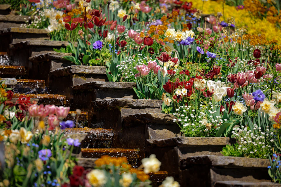 The image depicts a vibrant garden scene with a stone staircase adorned with an array of colorful flowers and plants, including red, yellow, white, pink, purple, and orange blooms. The perspective is from below, looking up at the stairs, which adds to the sense of depth in the composition. The colors are vivid and varied, creating a lively and dynamic atmosphere within the garden setting.