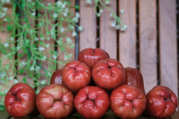 Rose Apple