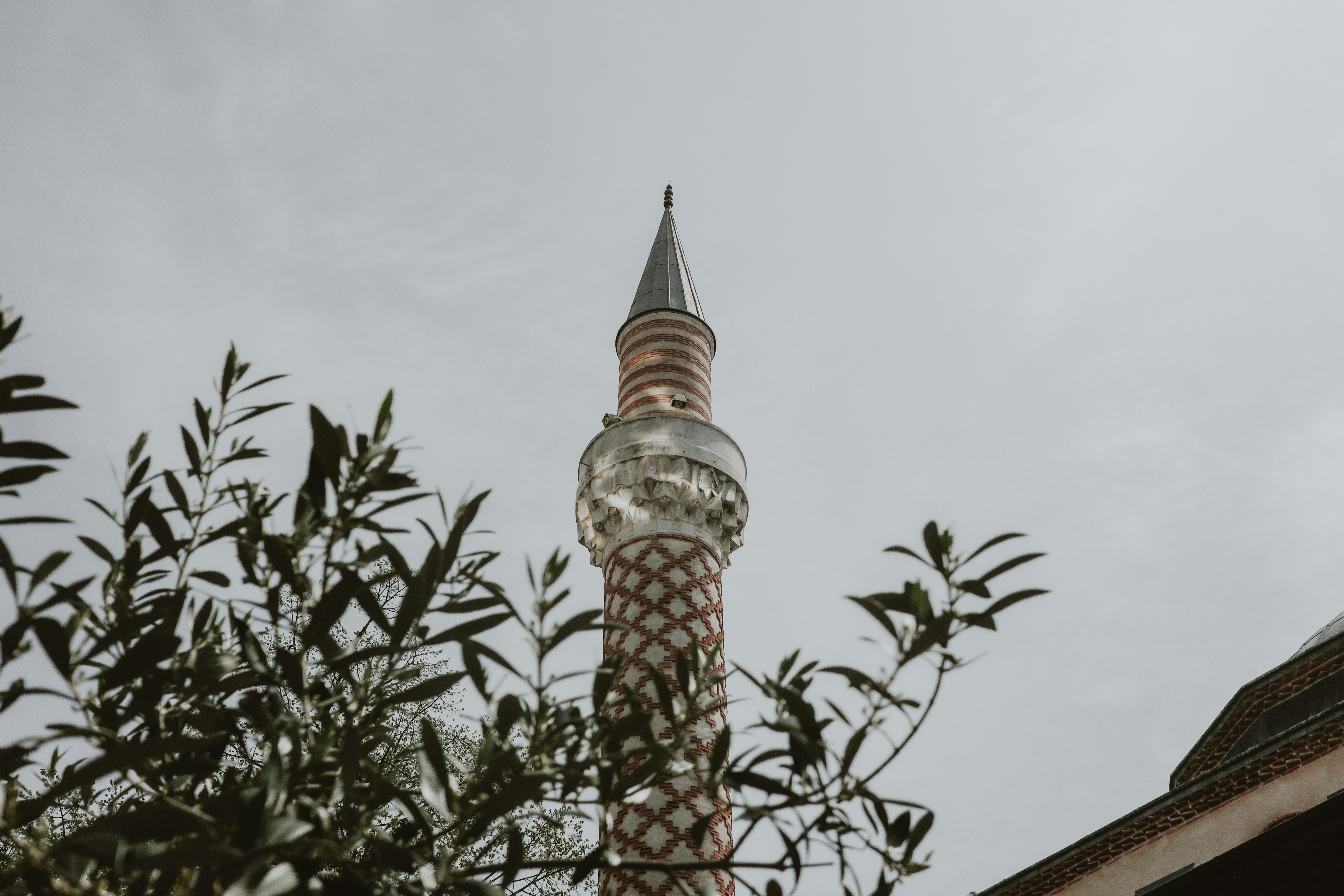 Minaret of a mosque seen through tree branches