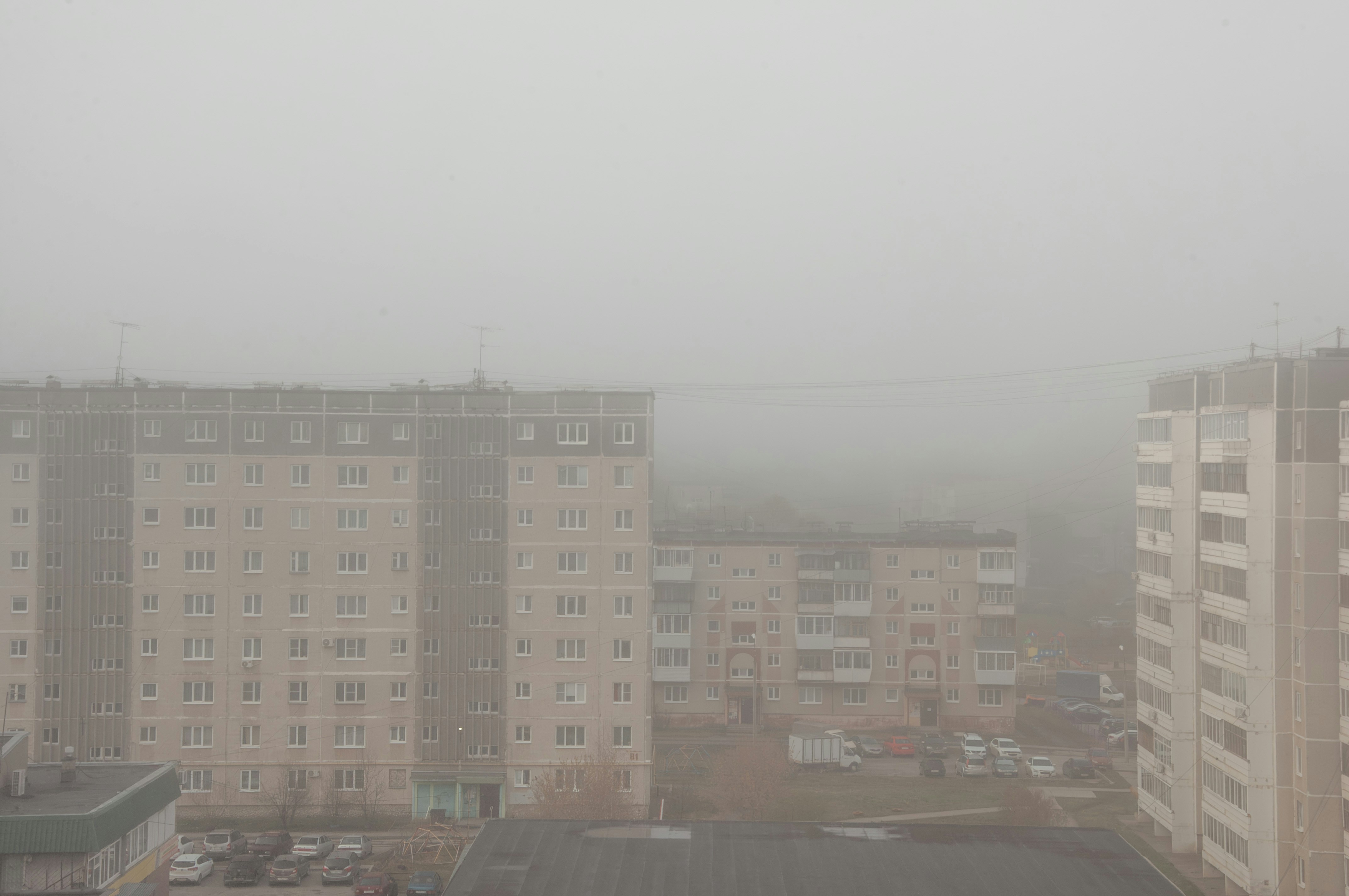 Photo by sergaytrain