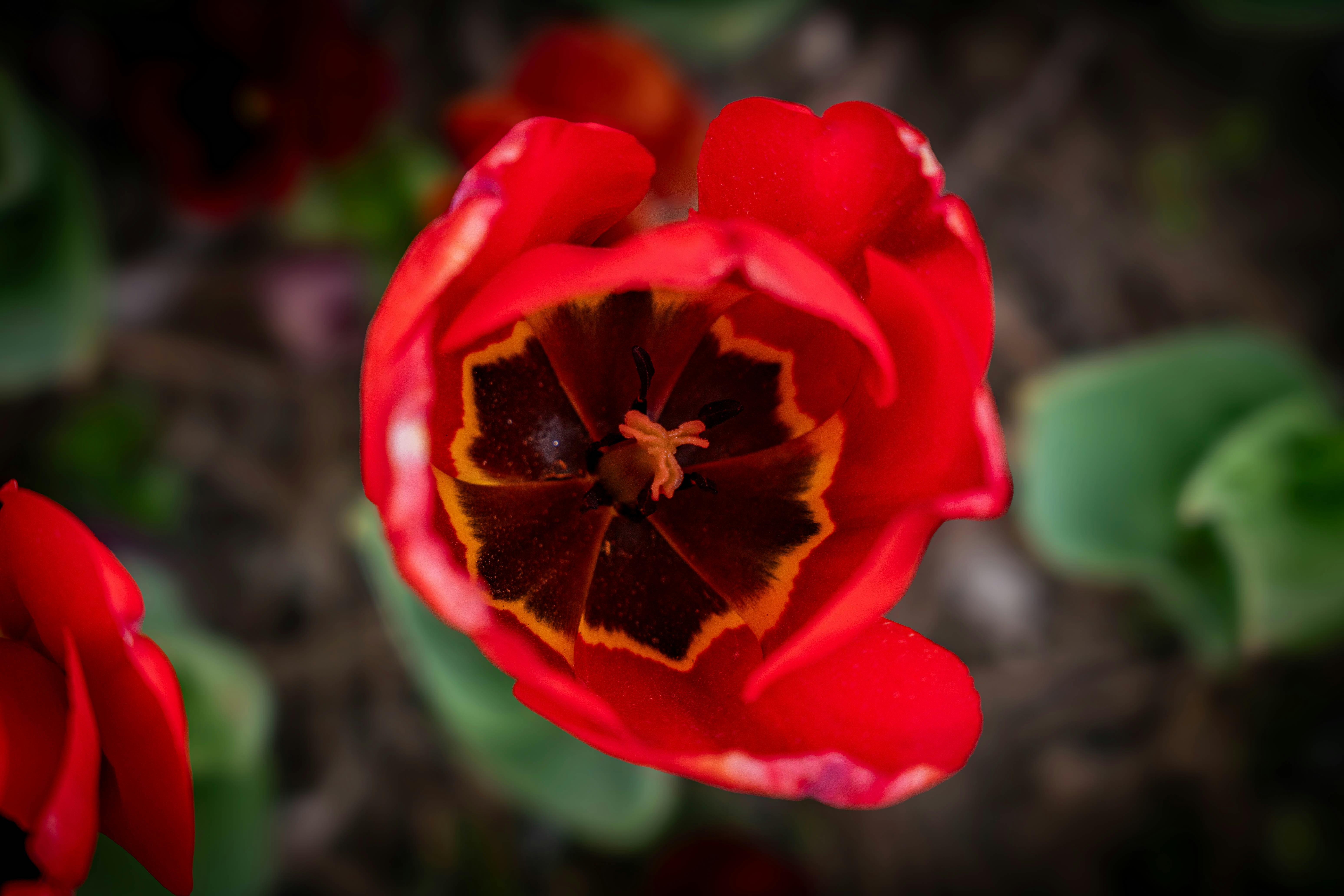 Photo by maviatlas