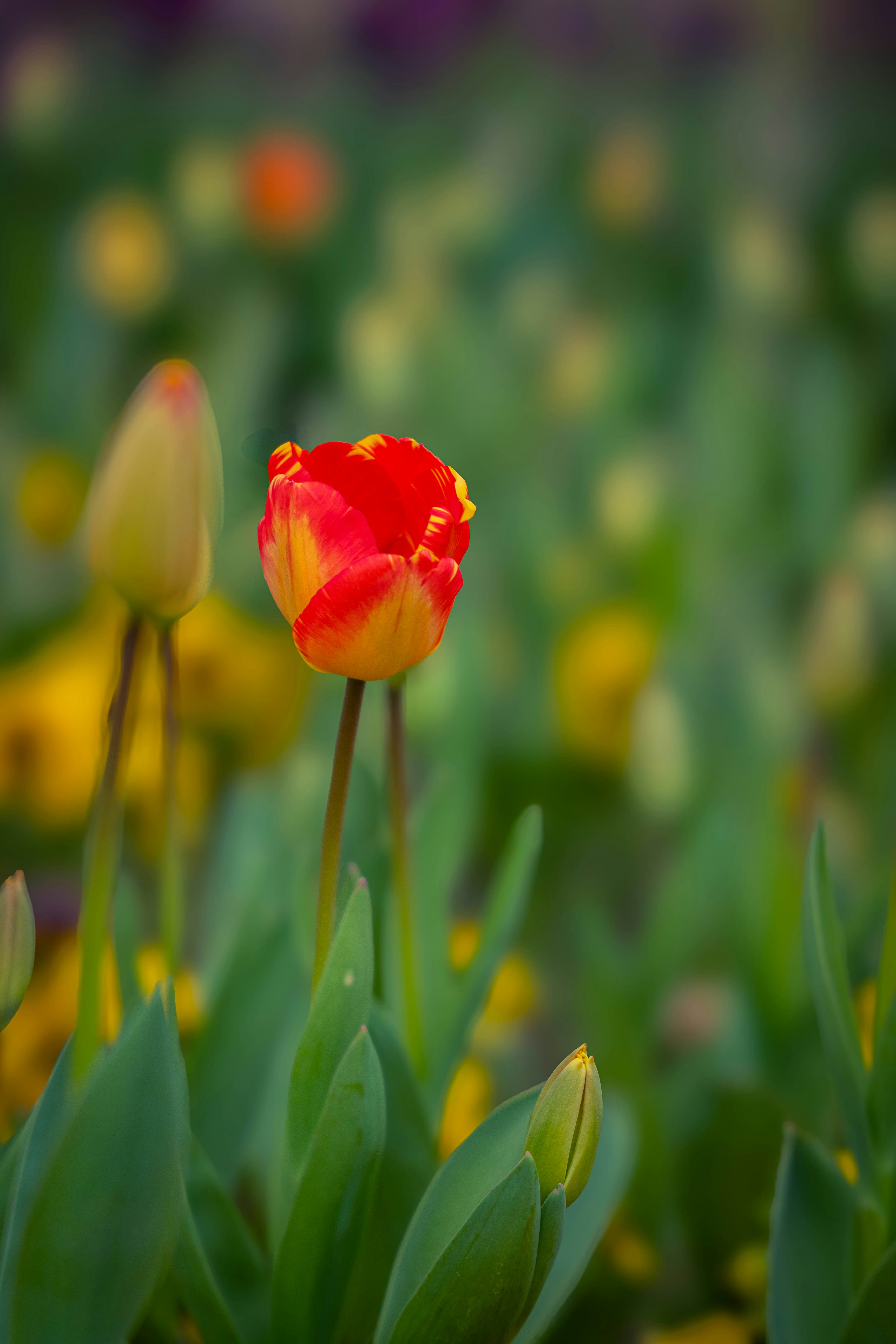 Photo by maviatlas