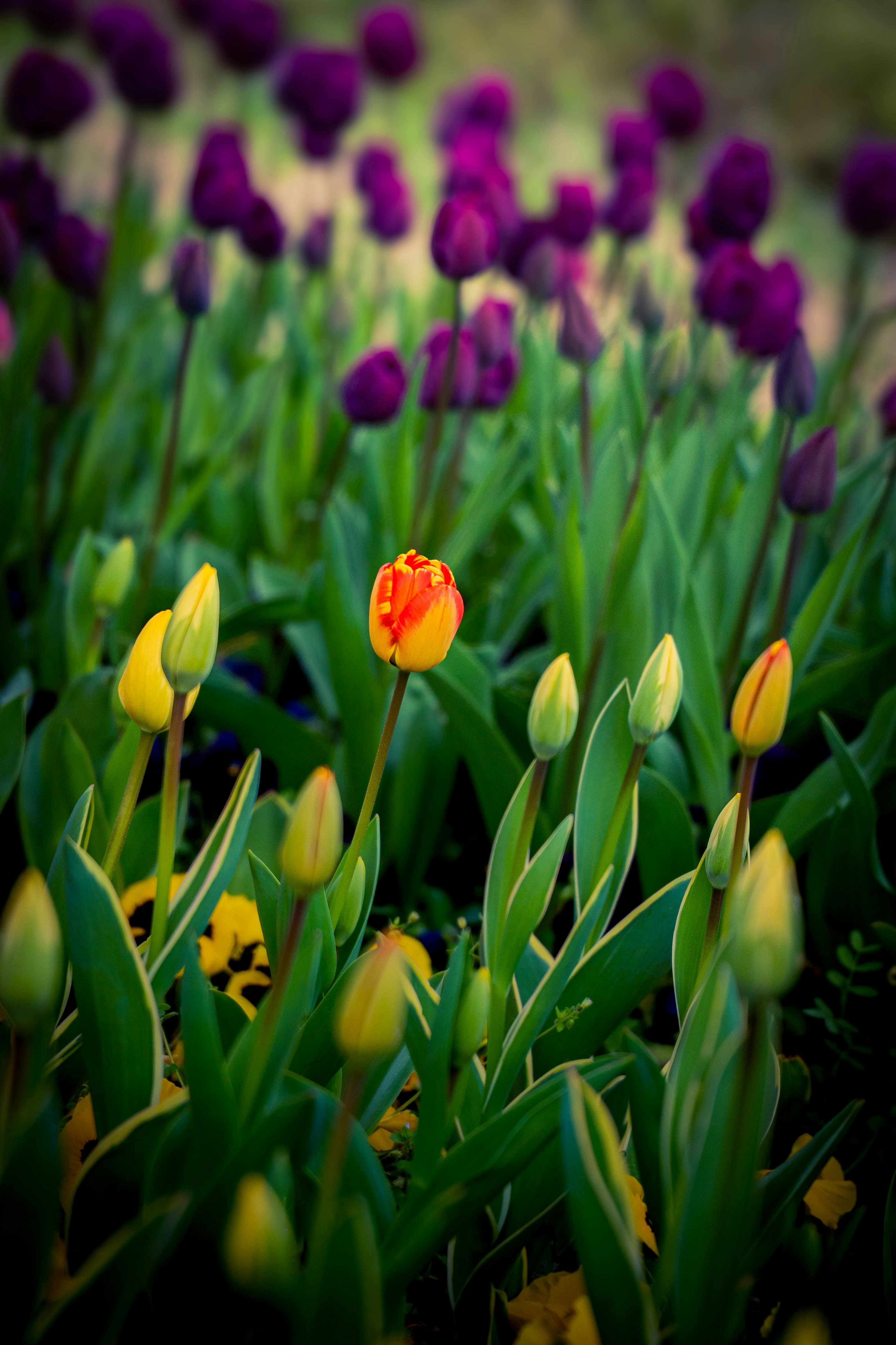 Photo by maviatlas