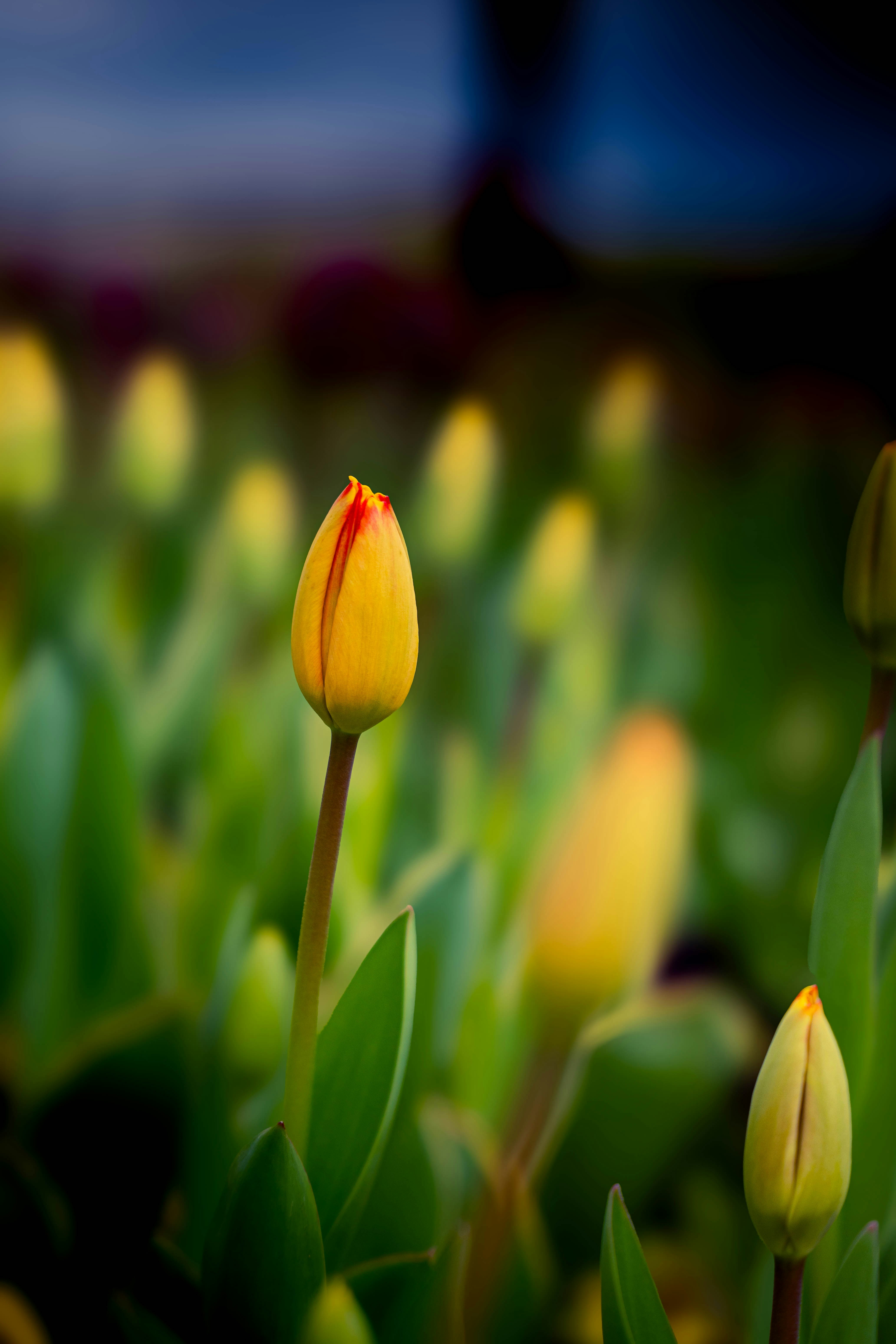 Photo by maviatlas