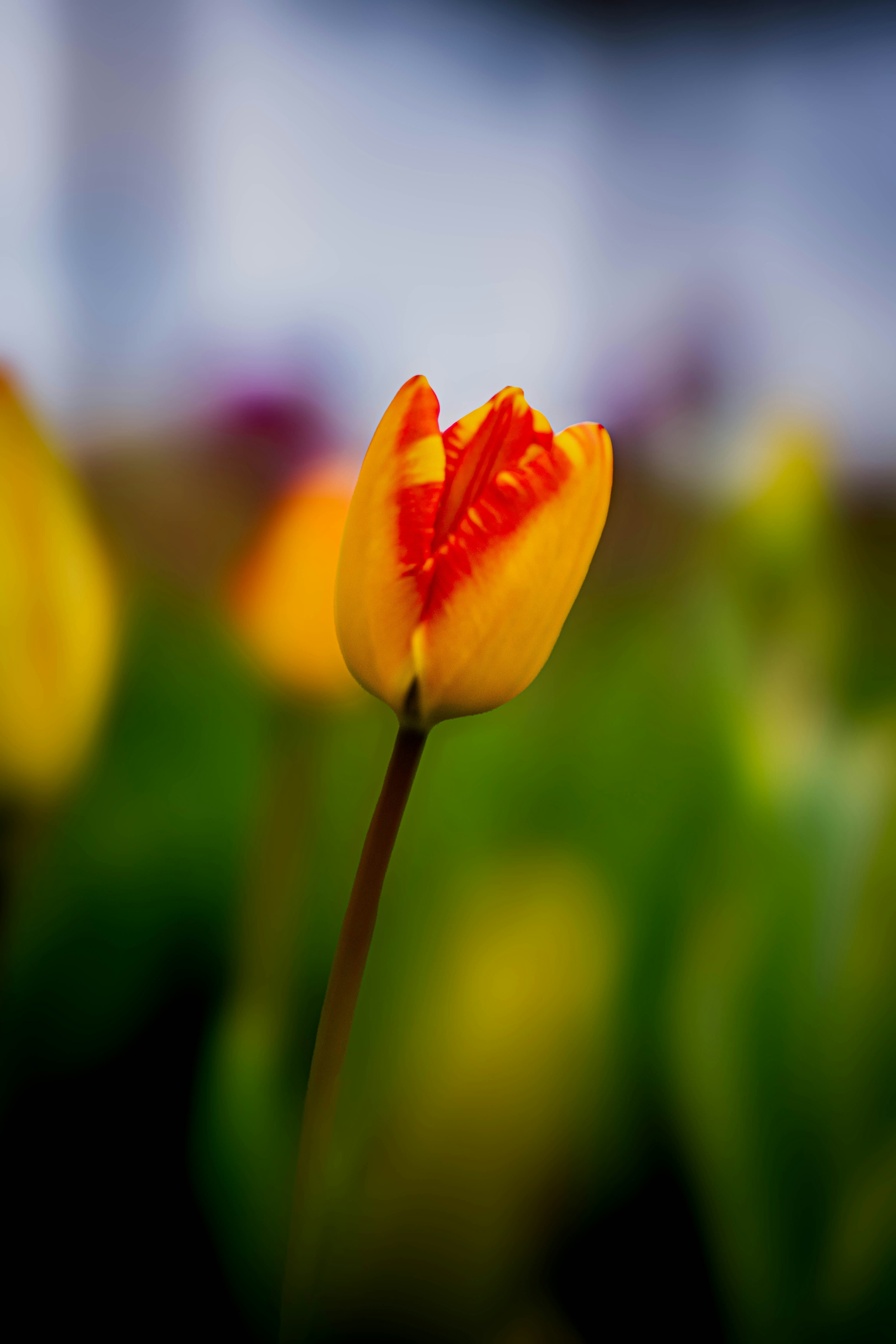Photo by maviatlas