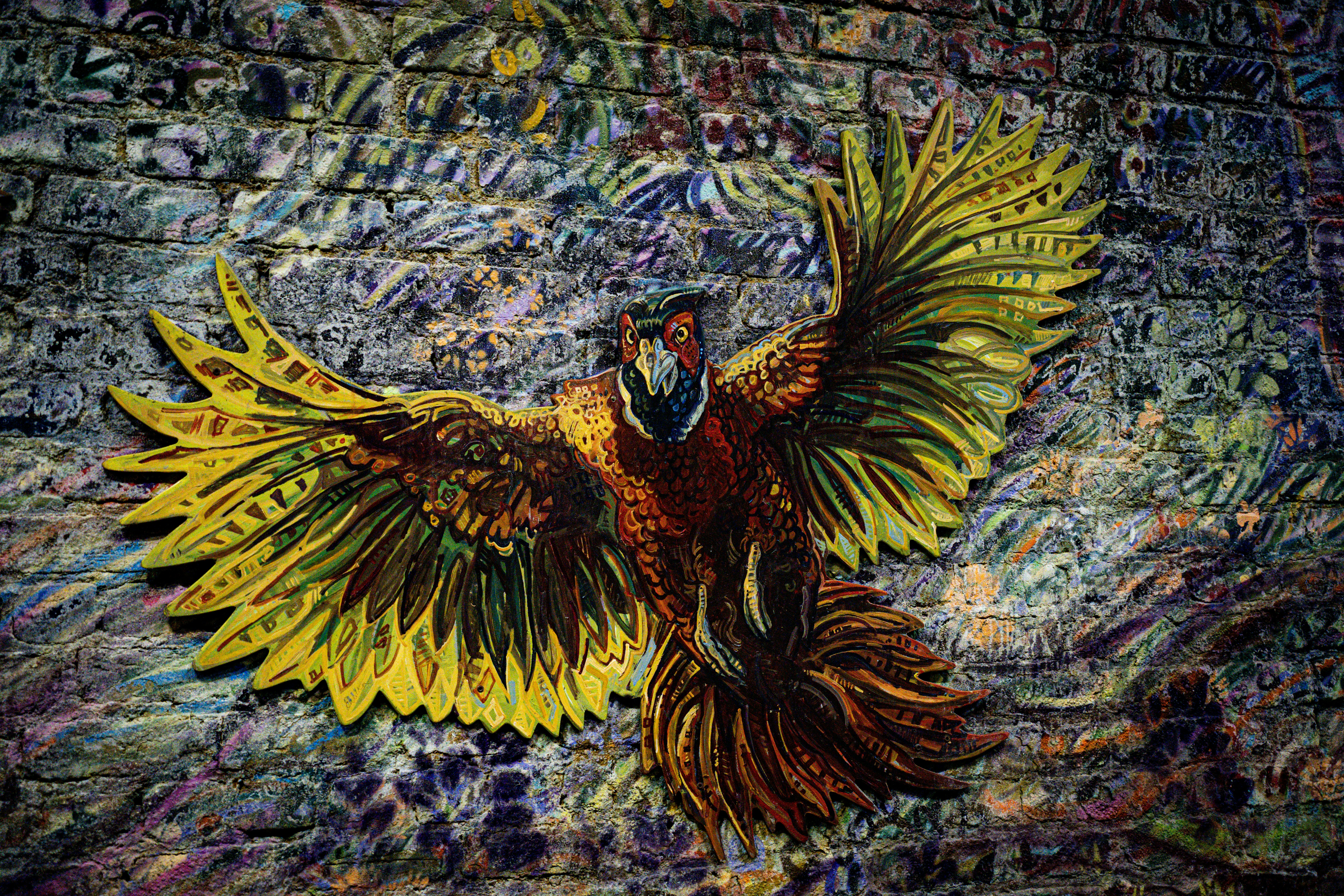 A colorful bird with outstretched wings on a patterned background