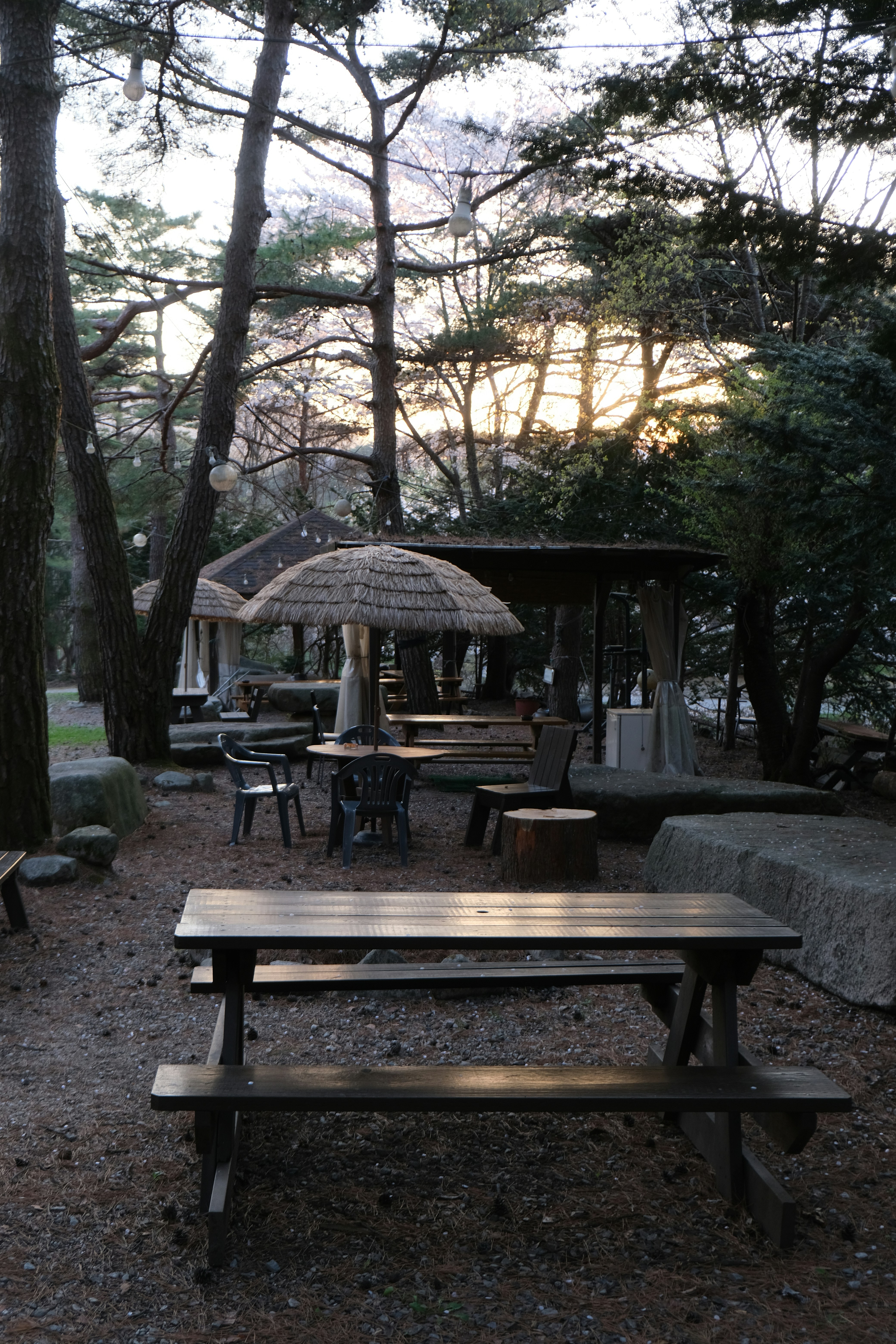 local Japanese food outdoor