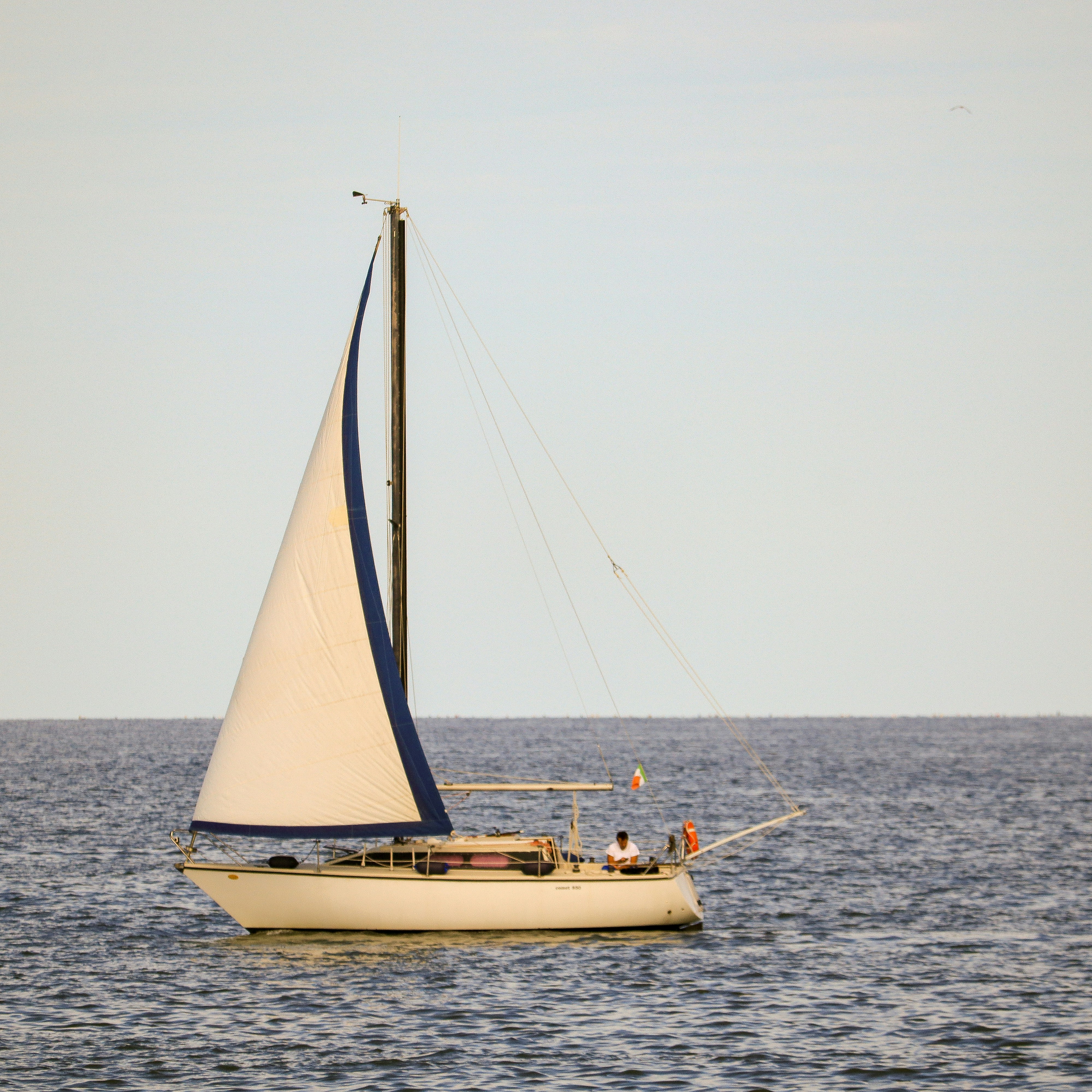 A white sailboat with a blue trim on the sail.